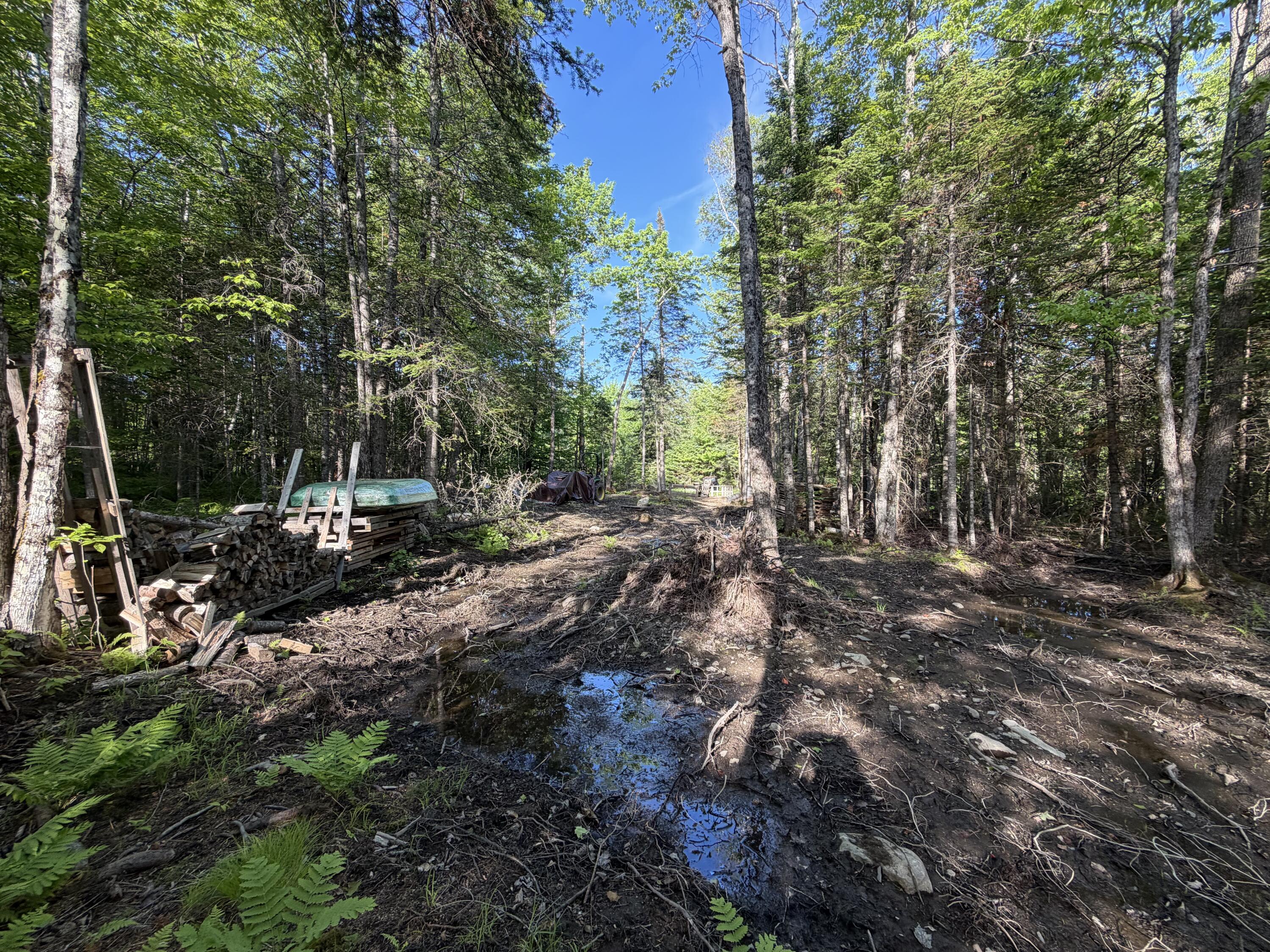 Lot 12-001 Off North Guilford Road Property Photo 19