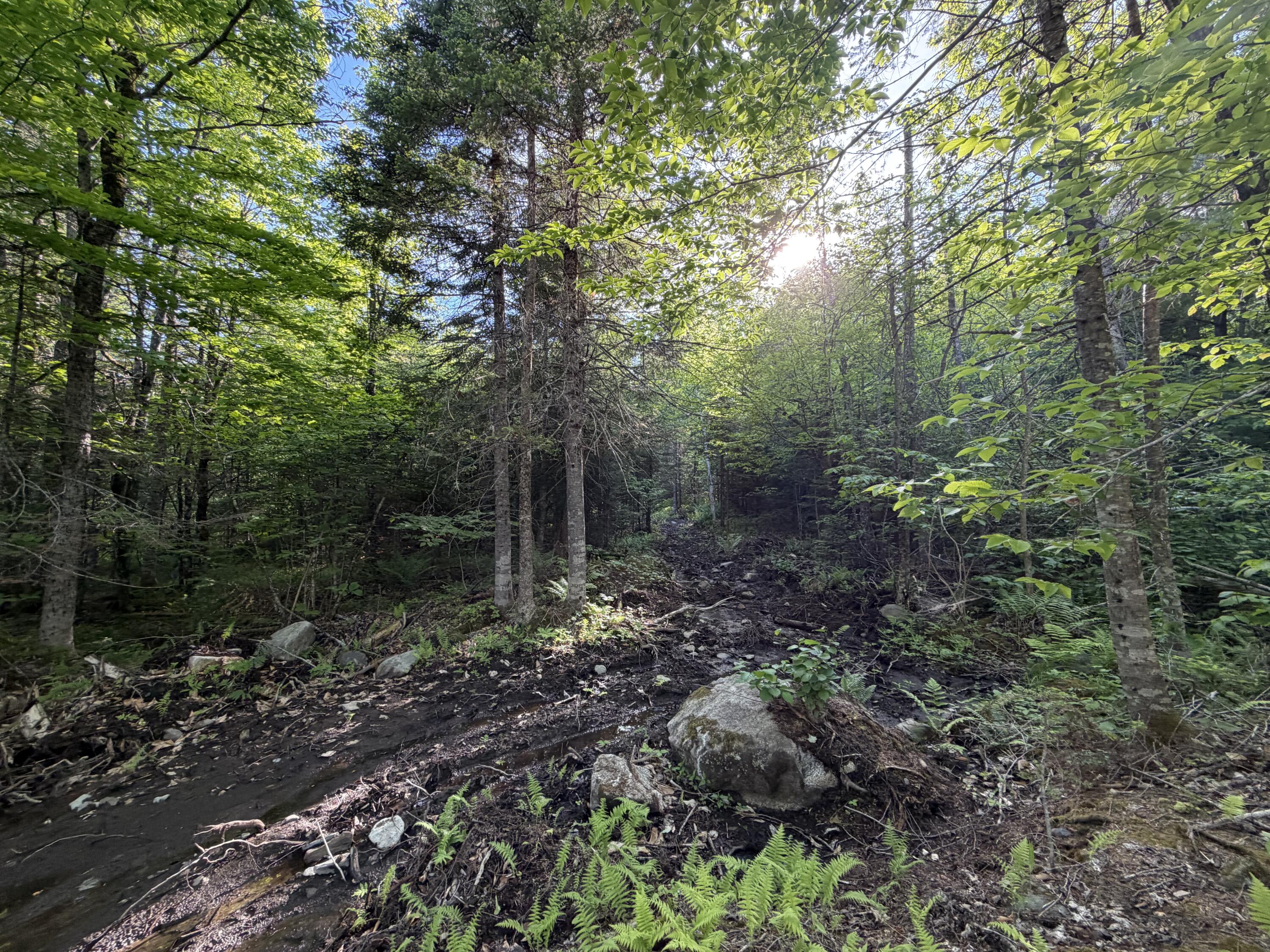 Lot 12-001 Off North Guilford Road Property Photo 20