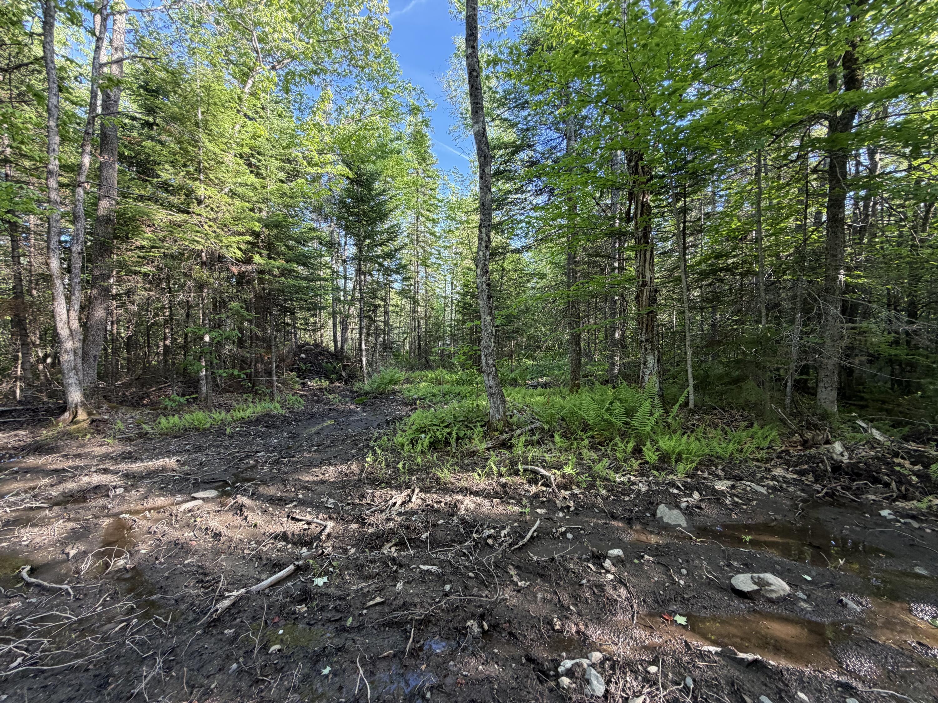 Lot 12-001 Off North Guilford Road Property Photo 21