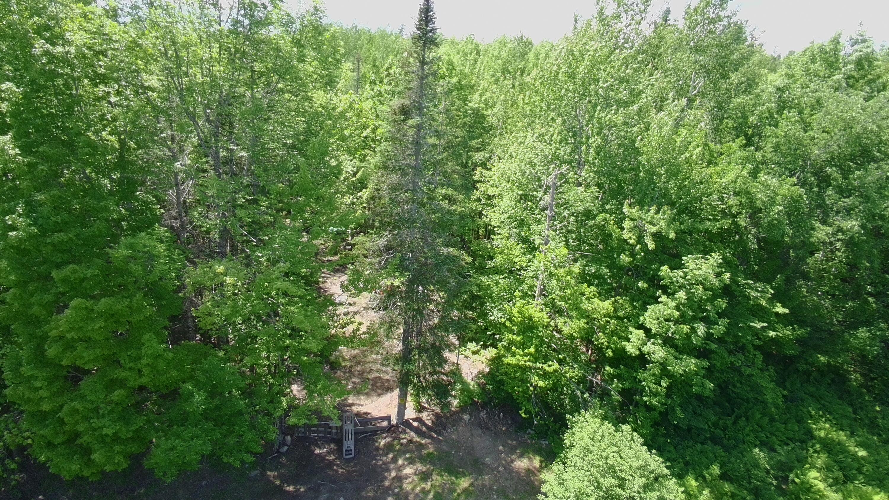 Lot 12-001 Off North Guilford Road Property Photo 24