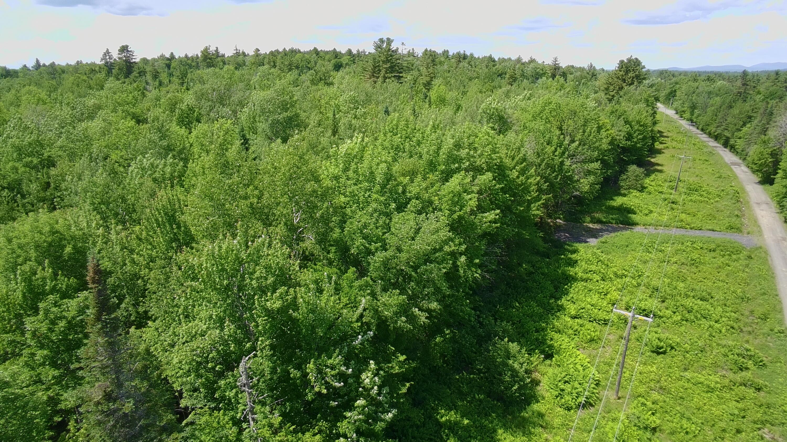 Lot 12-001 Off North Guilford Road Property Photo 32