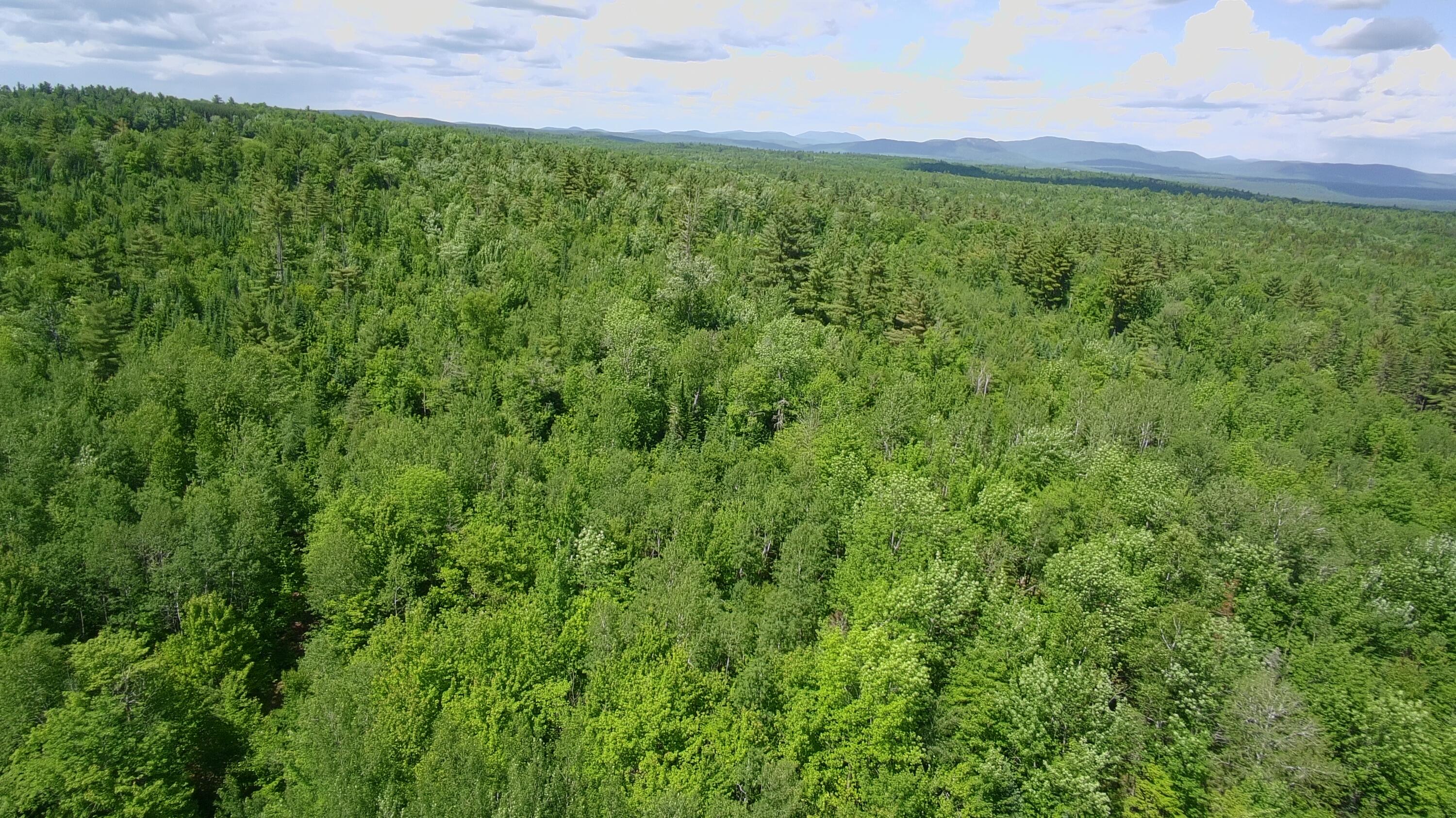 Lot 12-001 Off North Guilford Road Property Photo 34