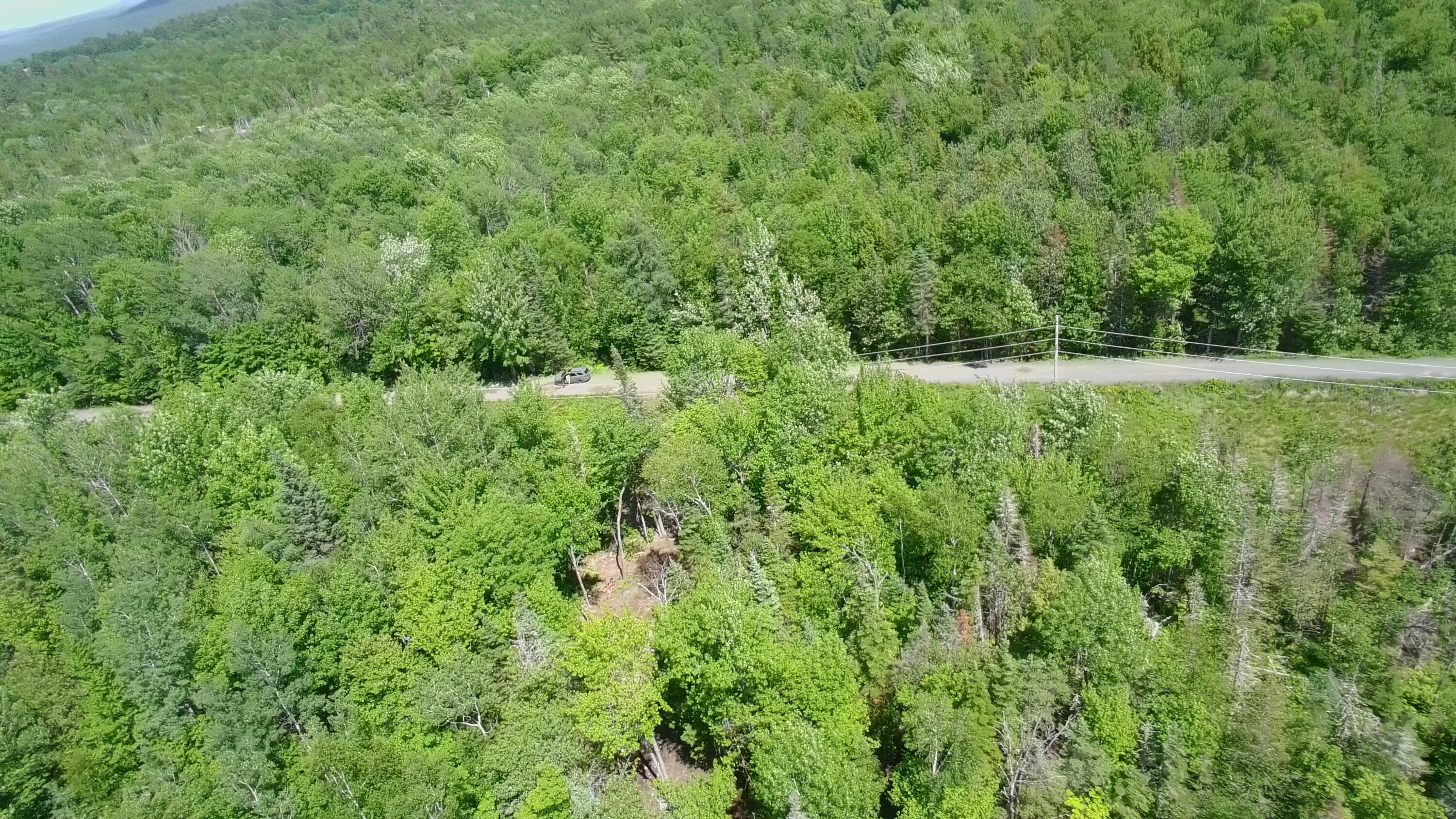 Lot 12-001 Off North Guilford Road Property Photo 36