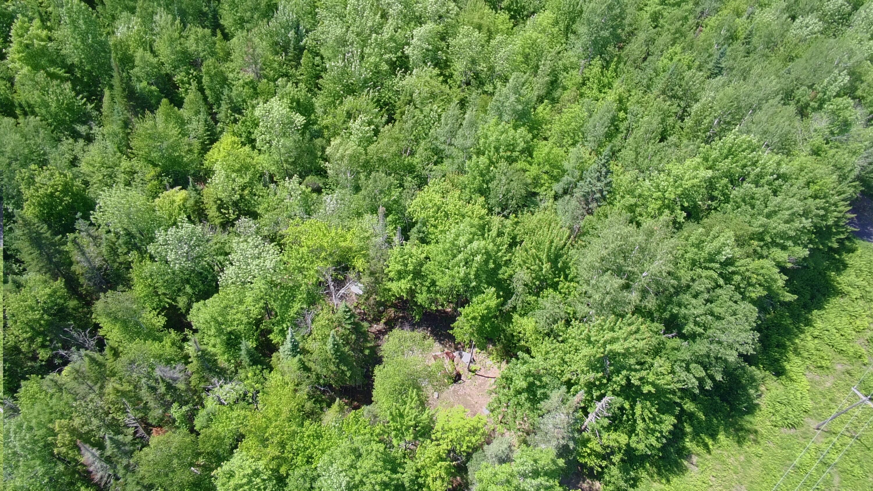 Lot 12-001 Off North Guilford Road Property Photo 40