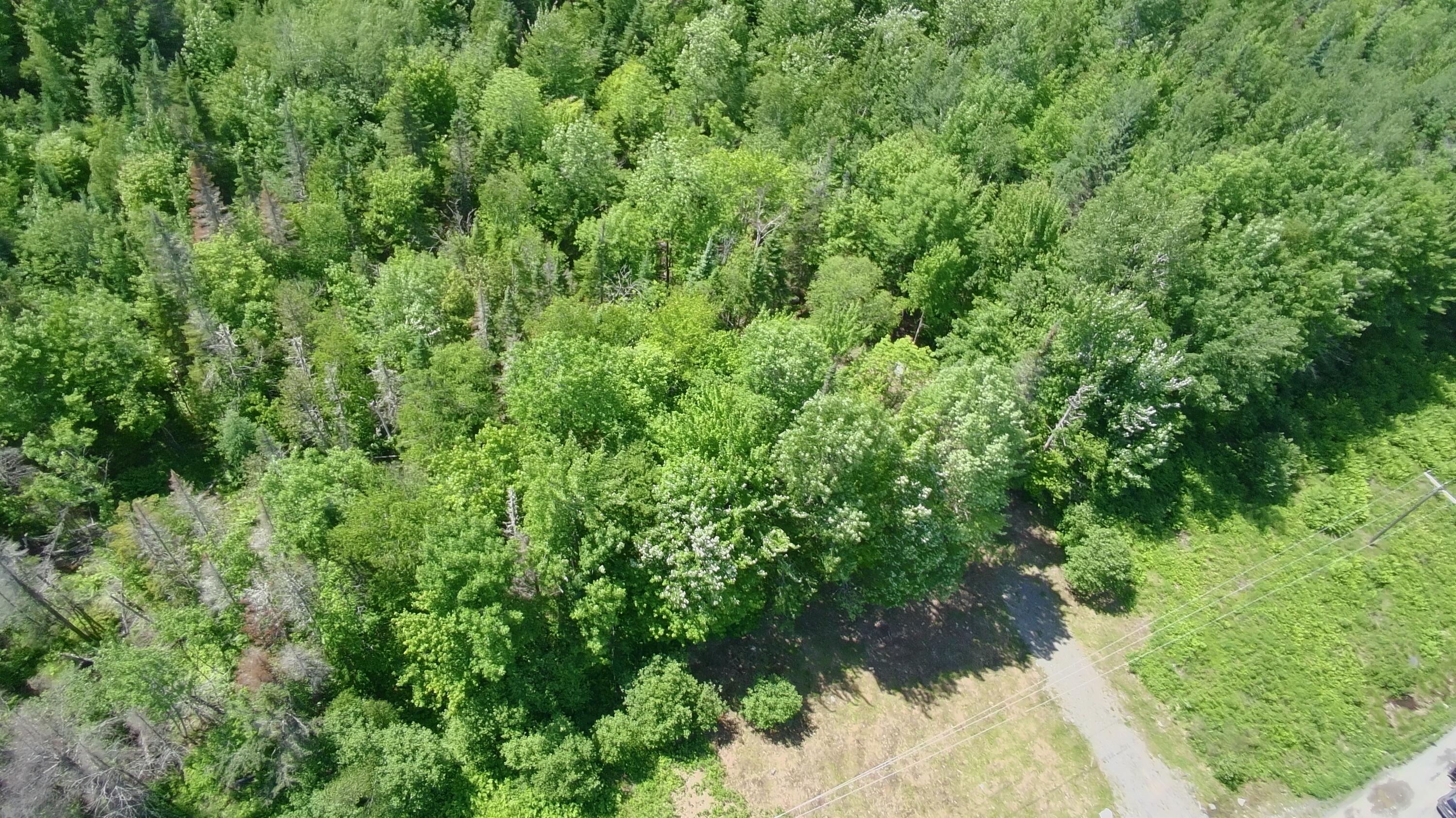 Lot 12-001 Off North Guilford Road Property Photo 41