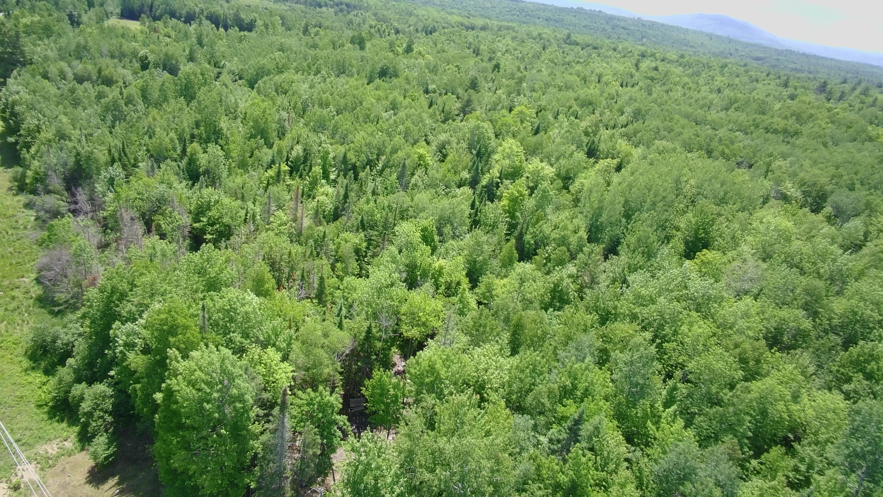 Lot 12-001 Off North Guilford Road Property Photo 42