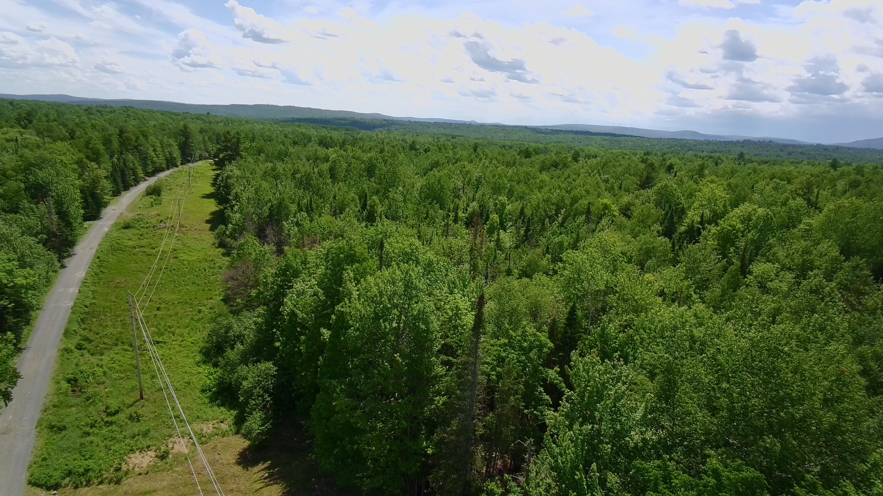 Lot 12-001 Off North Guilford Road Property Photo 44