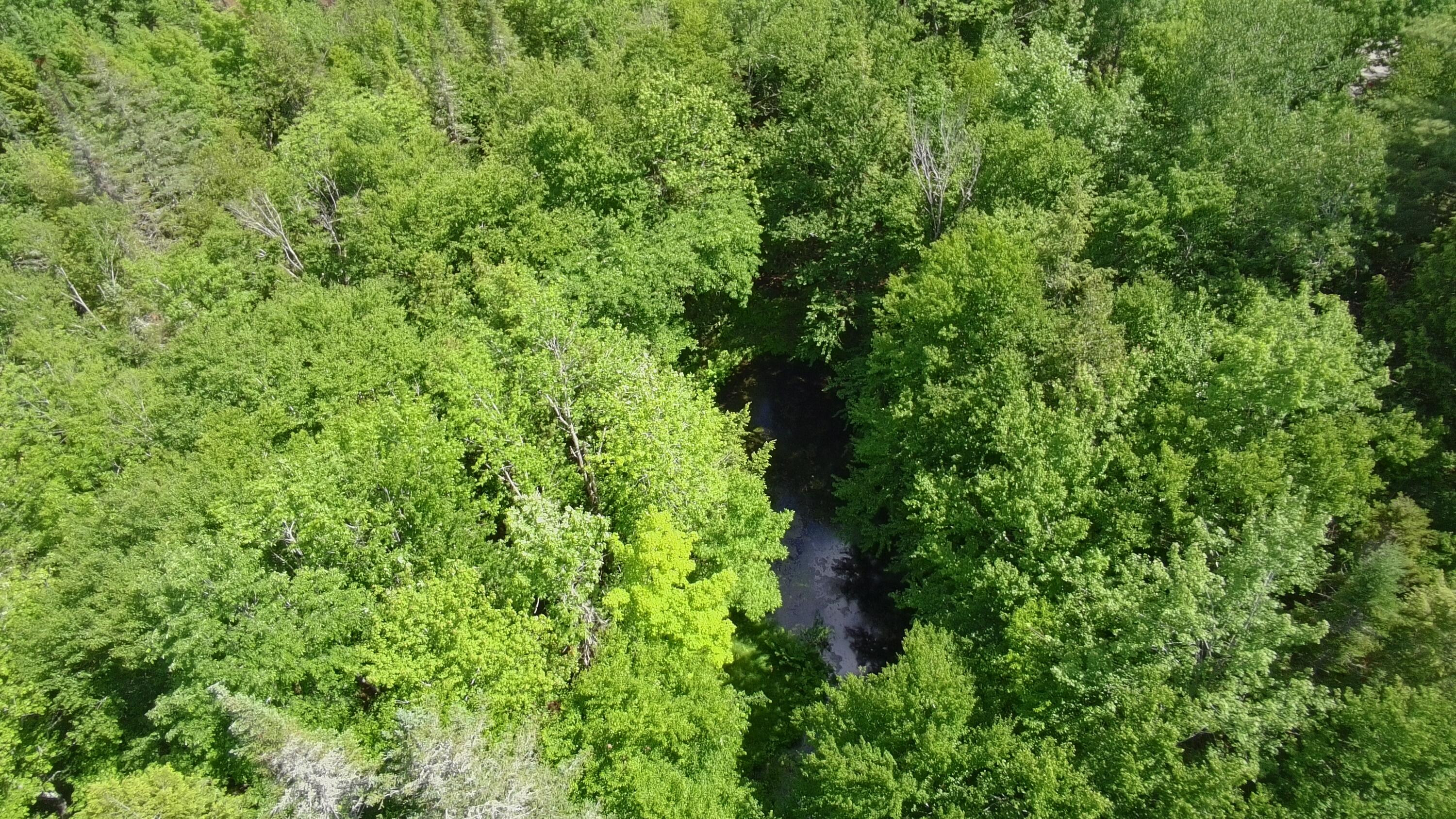 Lot 12-001 Off North Guilford Road Property Photo 48