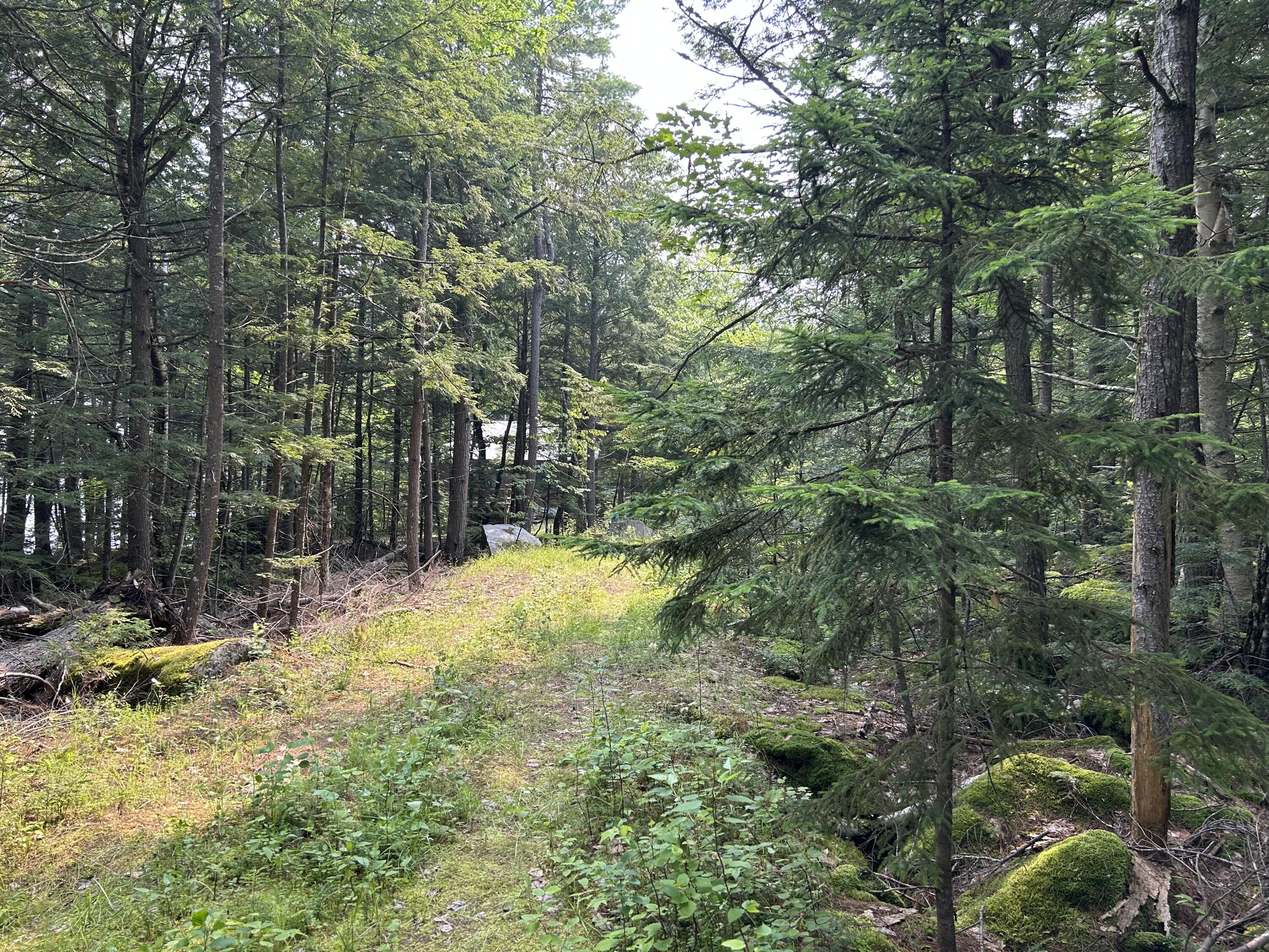 Lot 12-4 Mcnulty Lane Property Photo 1