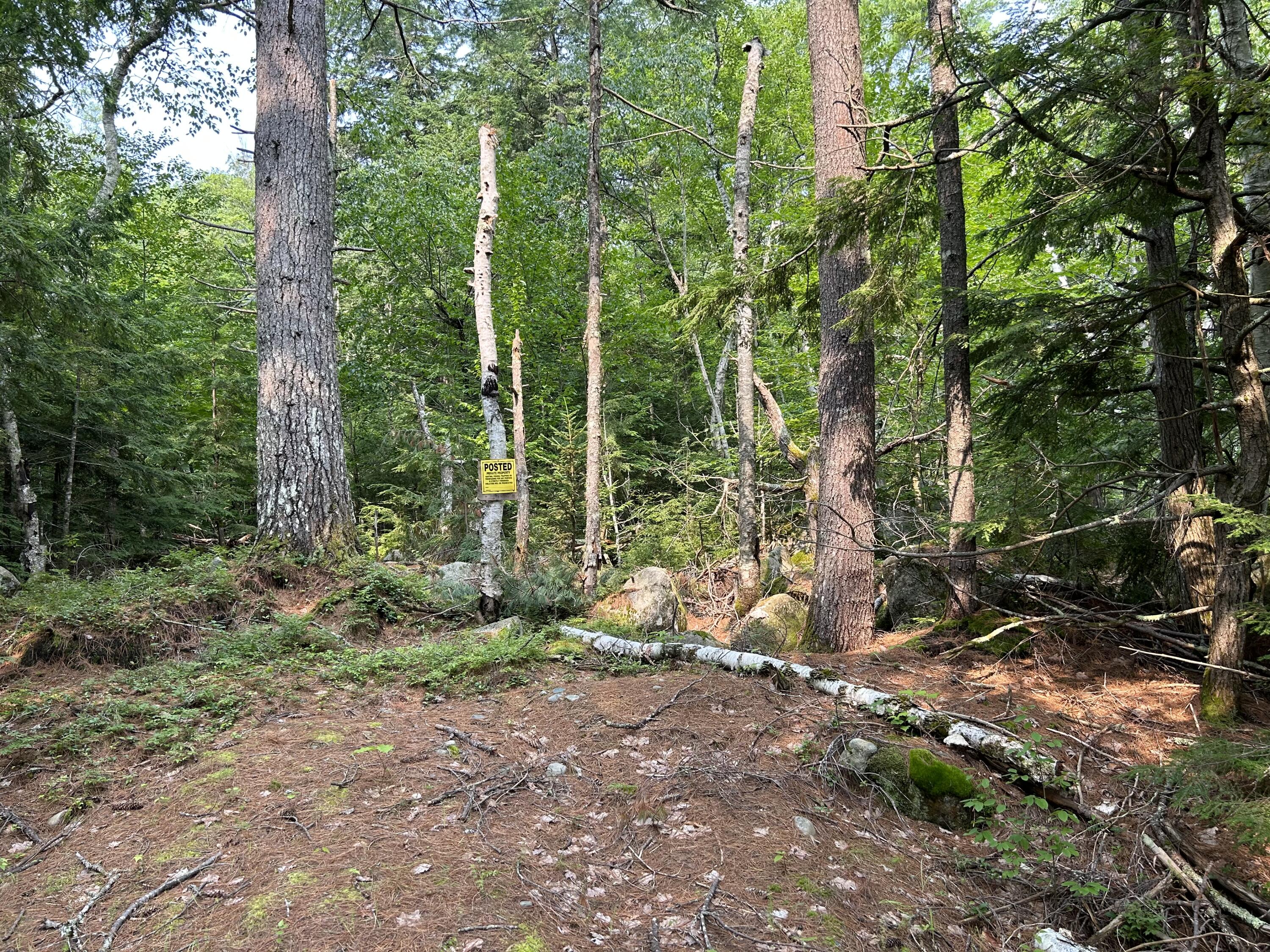 Lot 12-4 Mcnulty Lane Property Photo 3