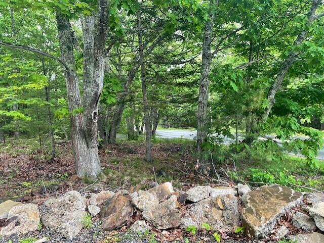 346 N Shore Drive Property Photo 1