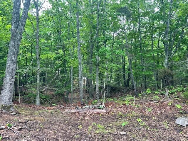 346 N Shore Drive Property Photo 5