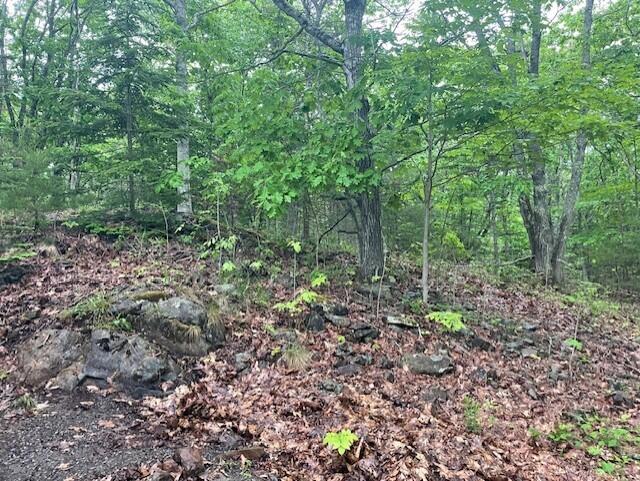 346 N Shore Drive Property Photo 6