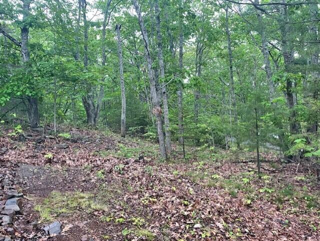 346 N Shore Drive Property Photo 10