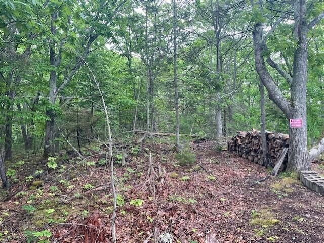 346 N Shore Drive Property Photo 11
