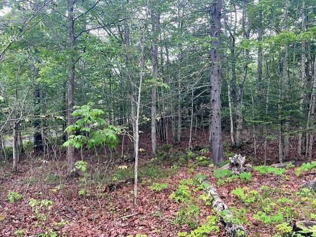 346 N Shore Drive Property Photo 13