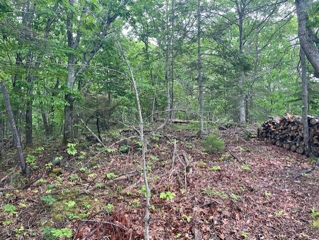 346 N Shore Drive Property Photo 15