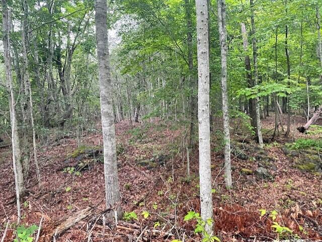 346 N Shore Drive Property Photo 20