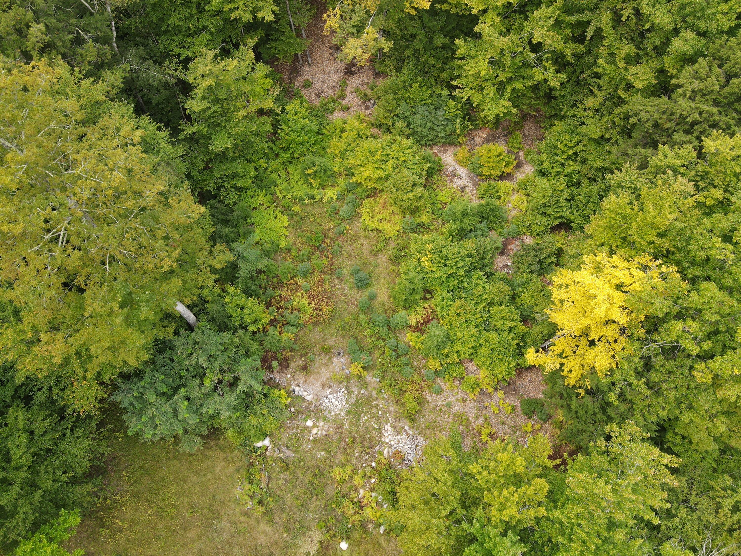 67 Island View Drive Property Photo 5