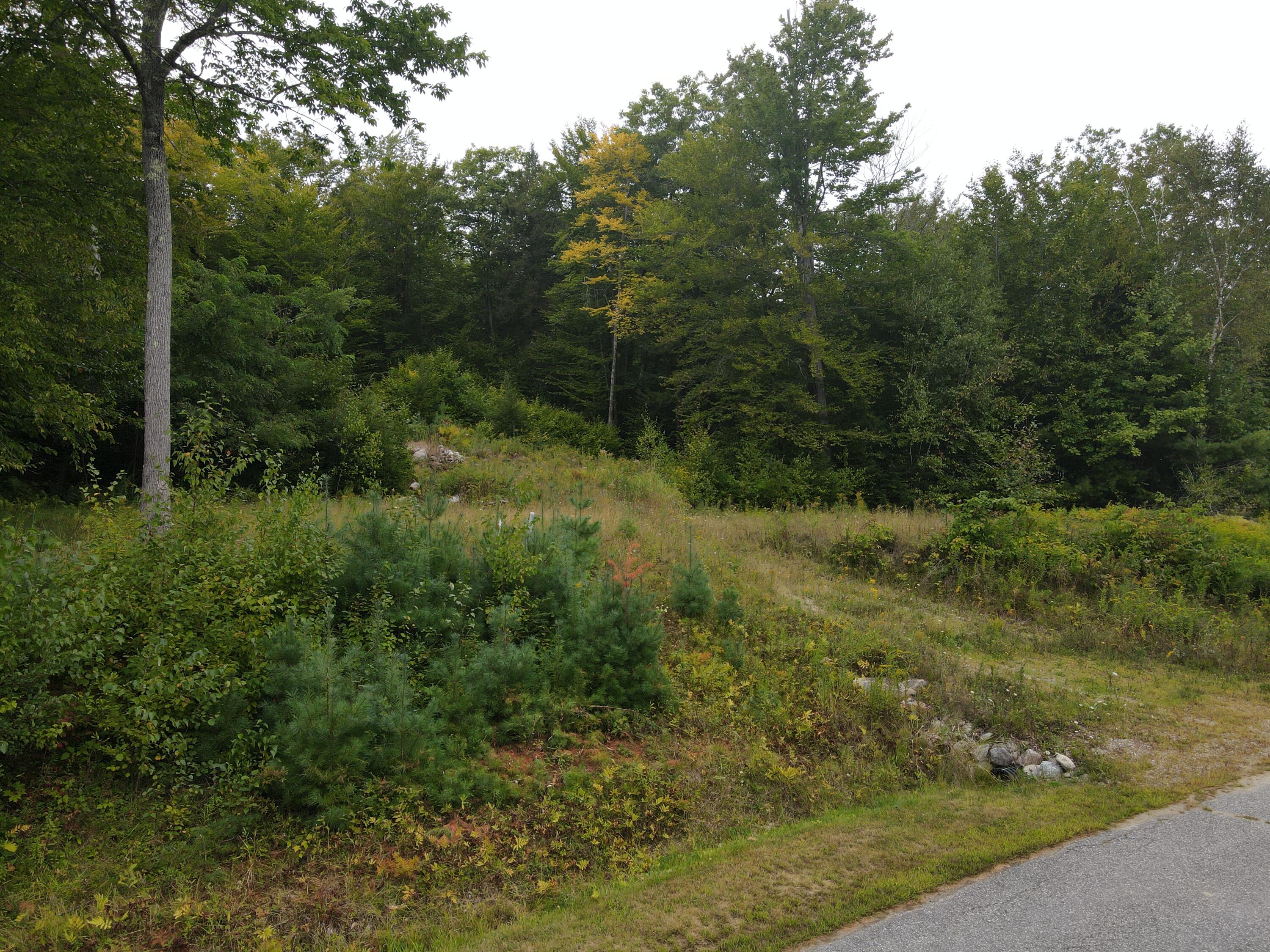 67 Island View Drive Property Photo 14