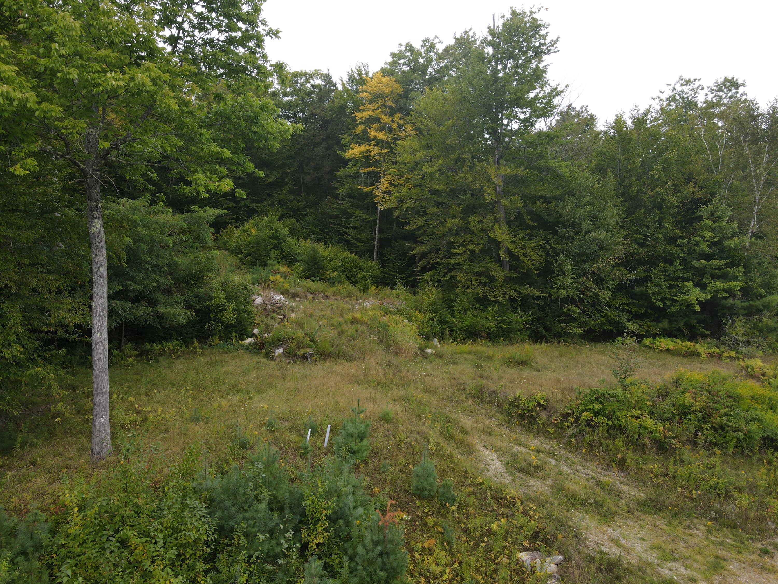 67 Island View Drive Property Photo 15
