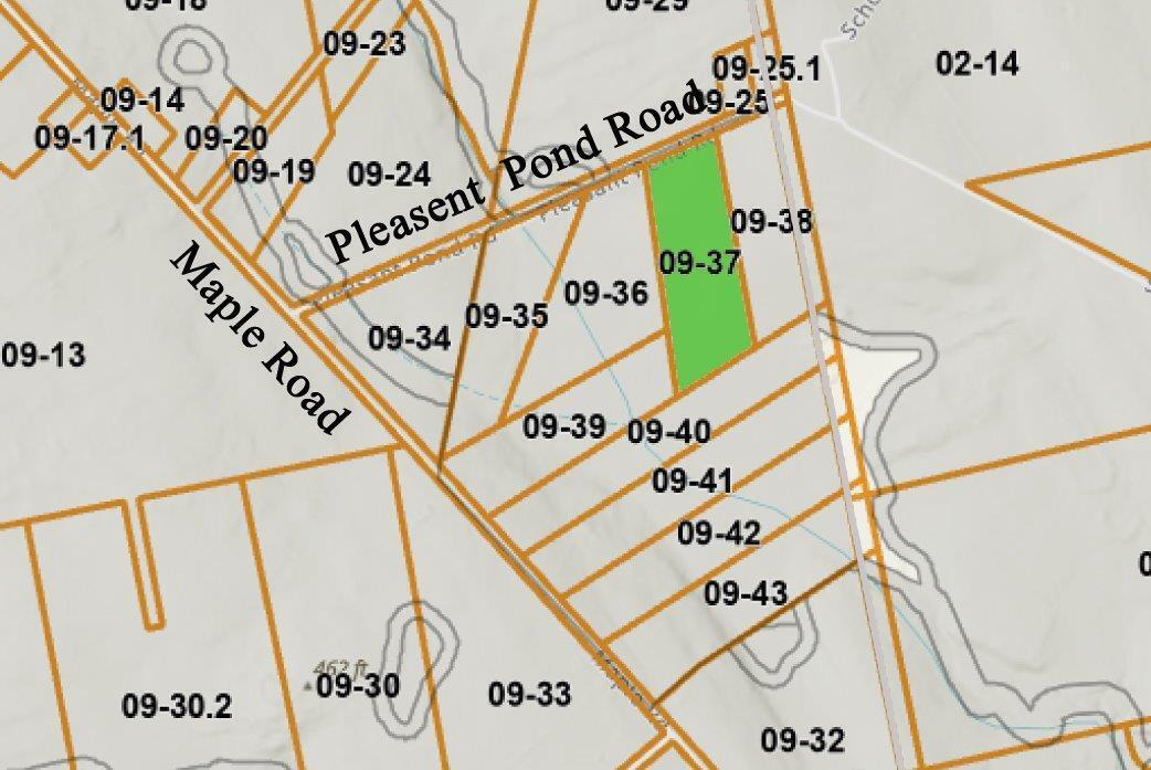 Lot 8 Pleasent Pond Road Property Photo 6