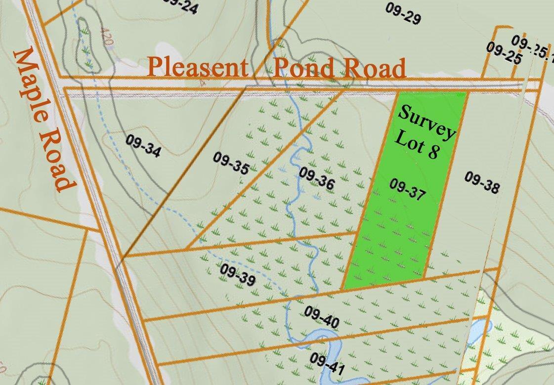 Lot 8 Pleasent Pond Road Property Photo 10