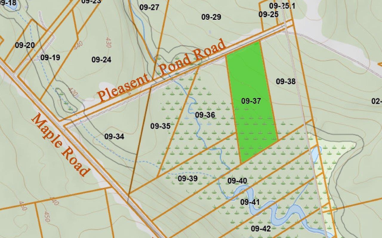 Lot 8 Pleasent Pond Road Property Photo 14