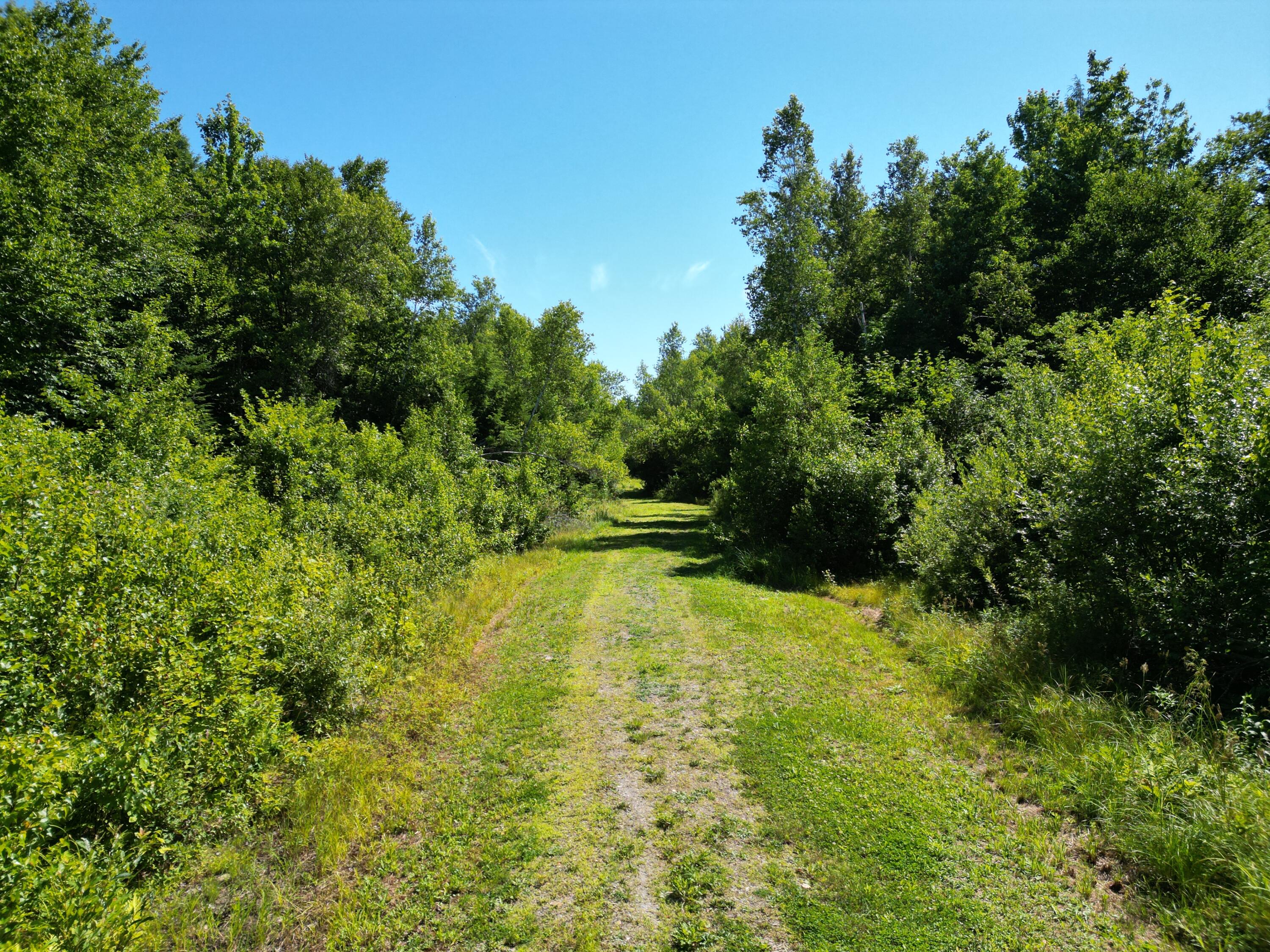 Lot 49 Independence Circle Property Photo 5