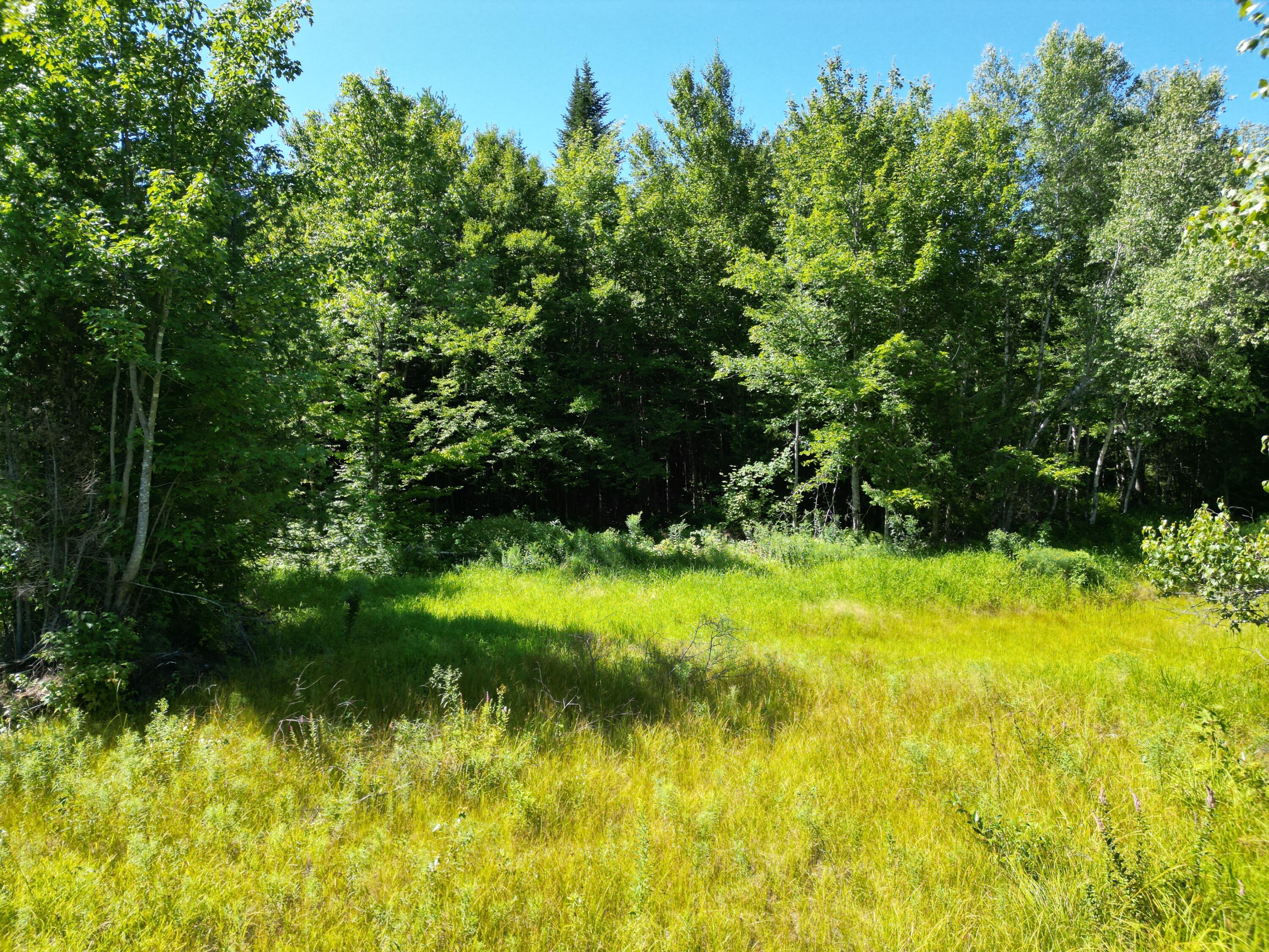 Lot 49 Independence Circle Property Photo 11