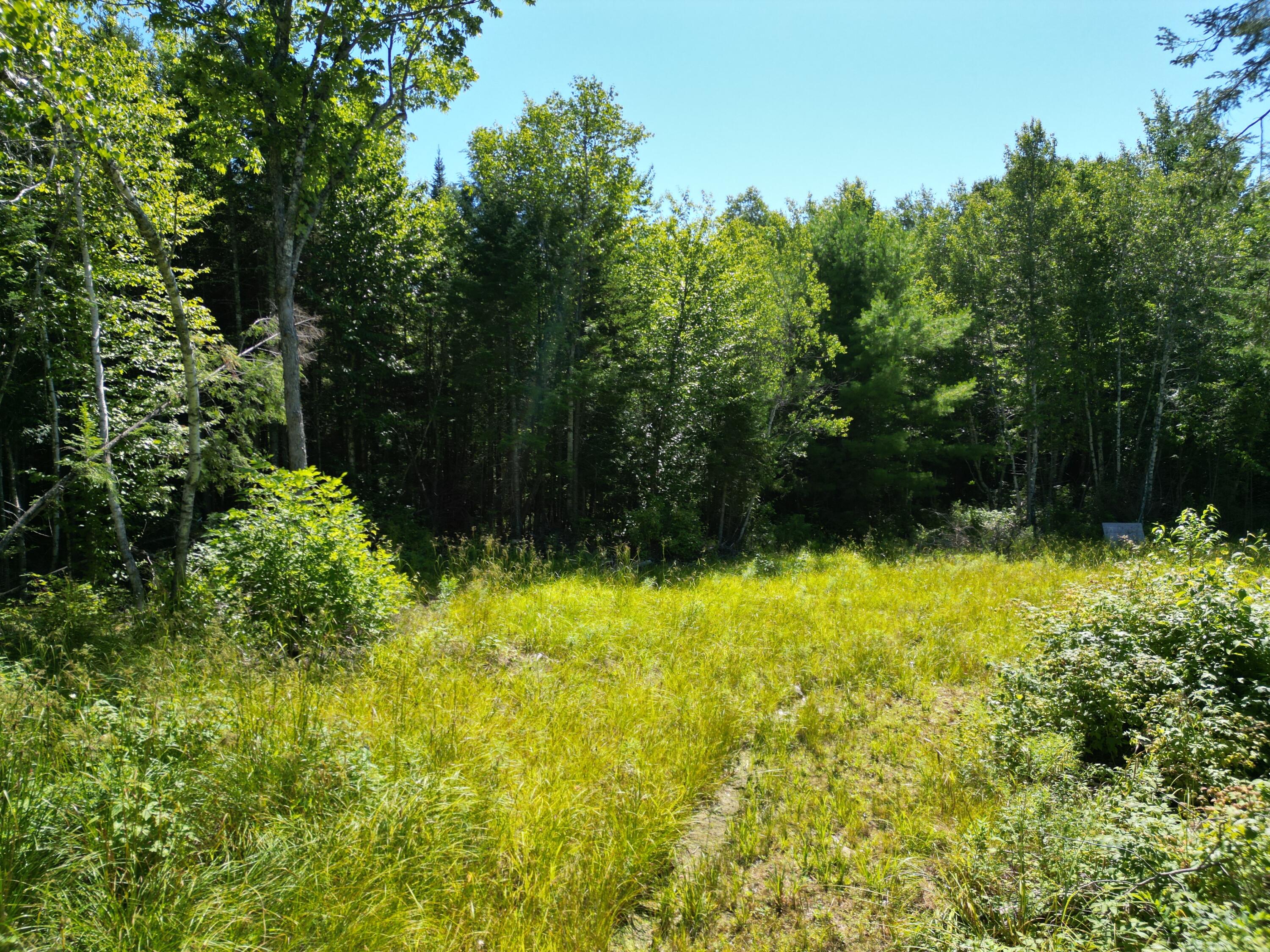 Lot 49 Independence Circle Property Photo 12