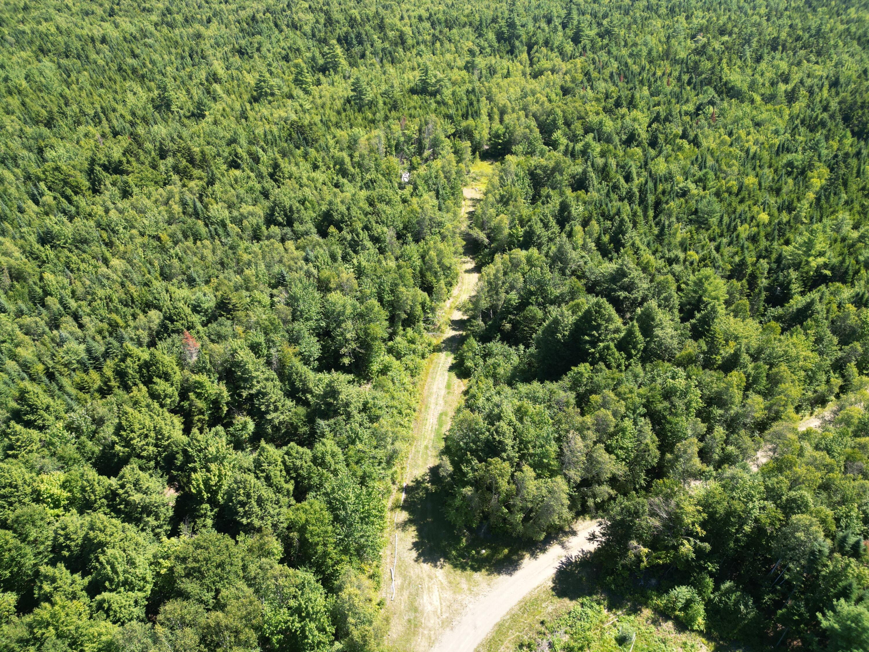 Lot 49 Independence Circle Property Photo 14
