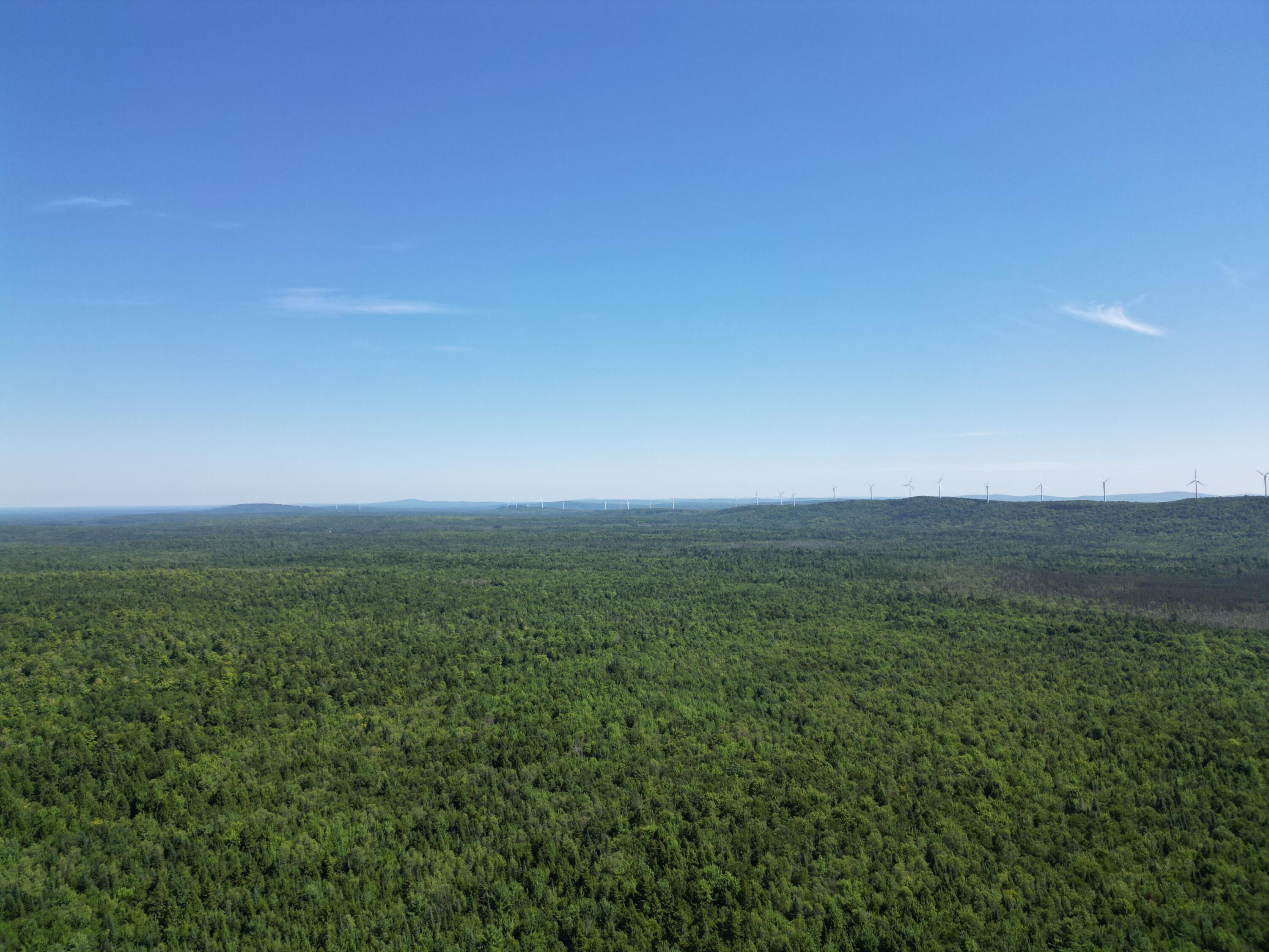 Lot 49 Independence Circle Property Photo 17