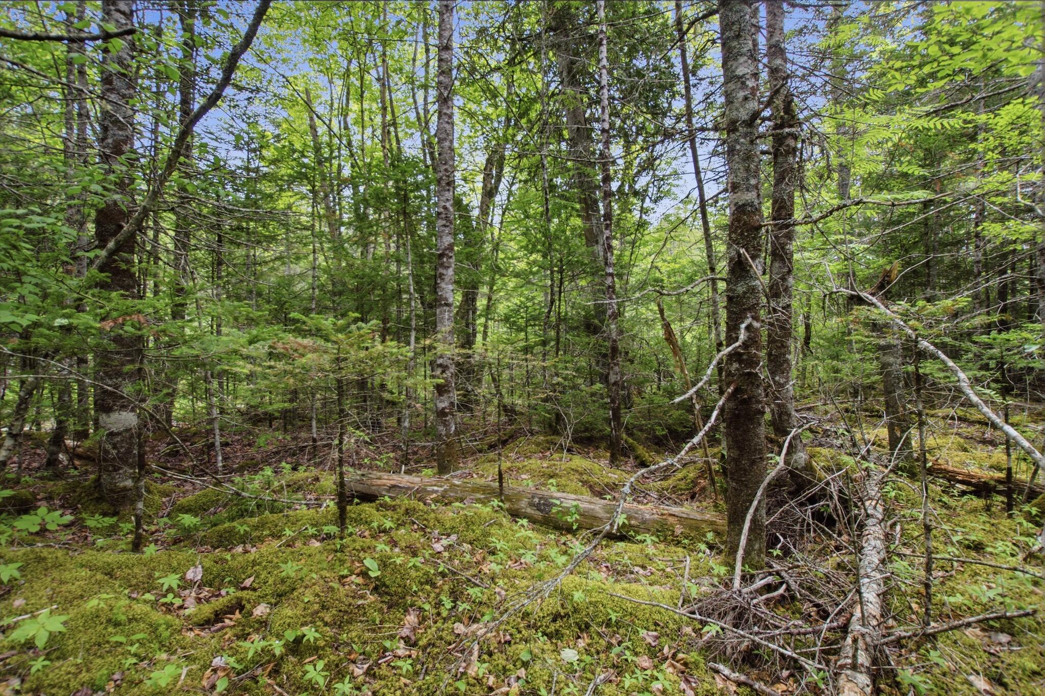 00 Kennebec Road Property Photo 1