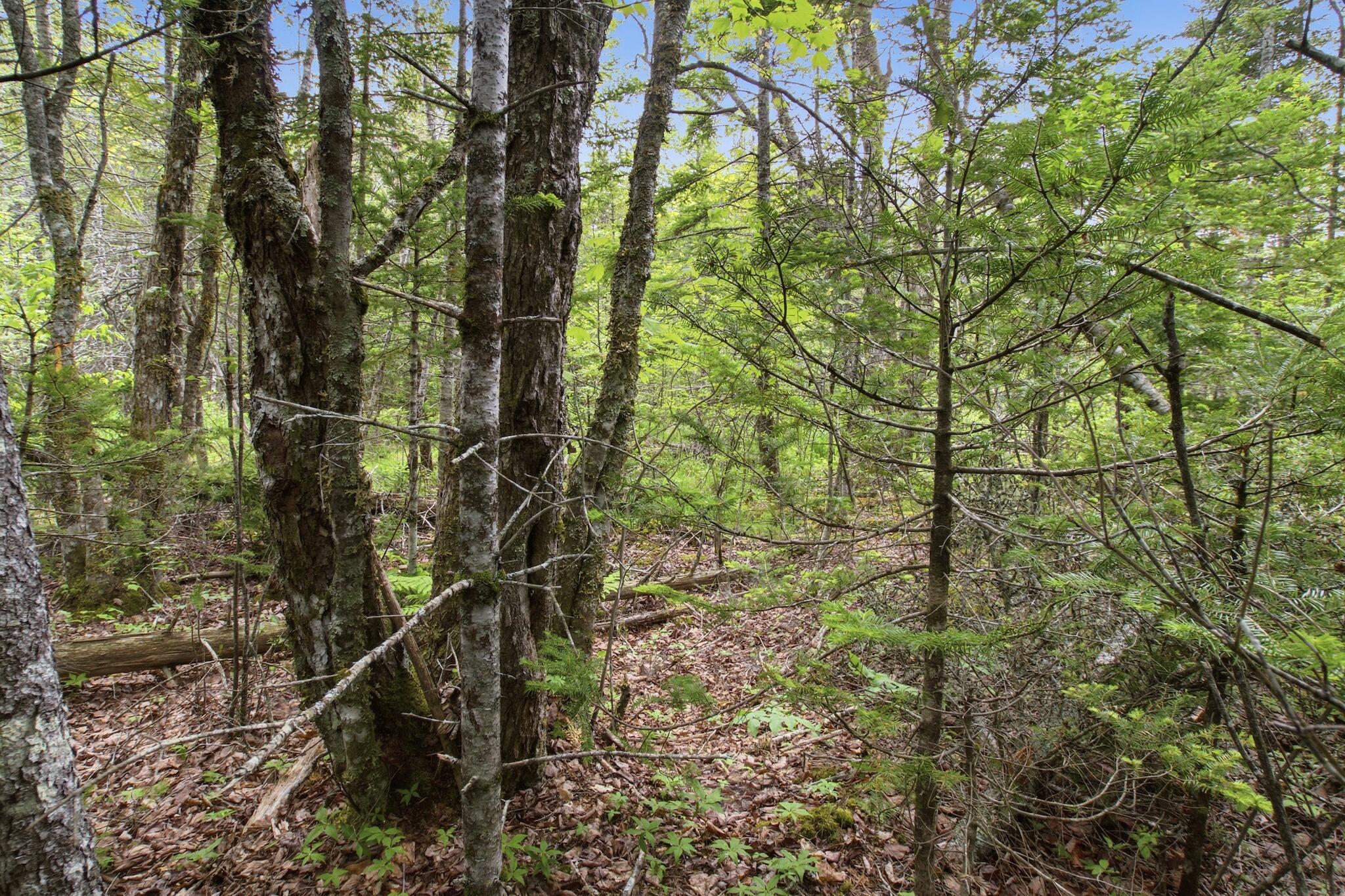 00 Kennebec Road Property Photo 2