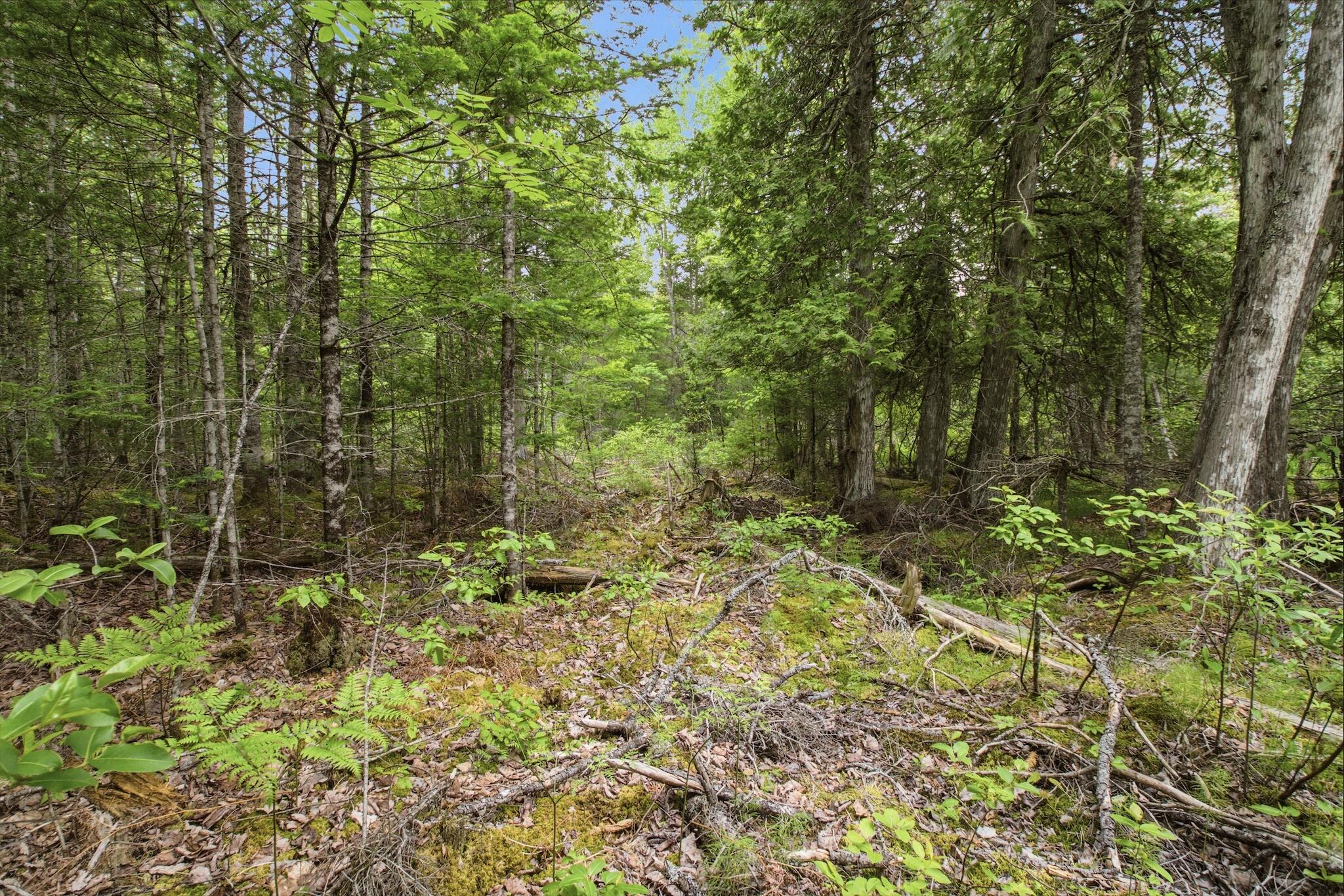 00 Kennebec Road Property Photo 3