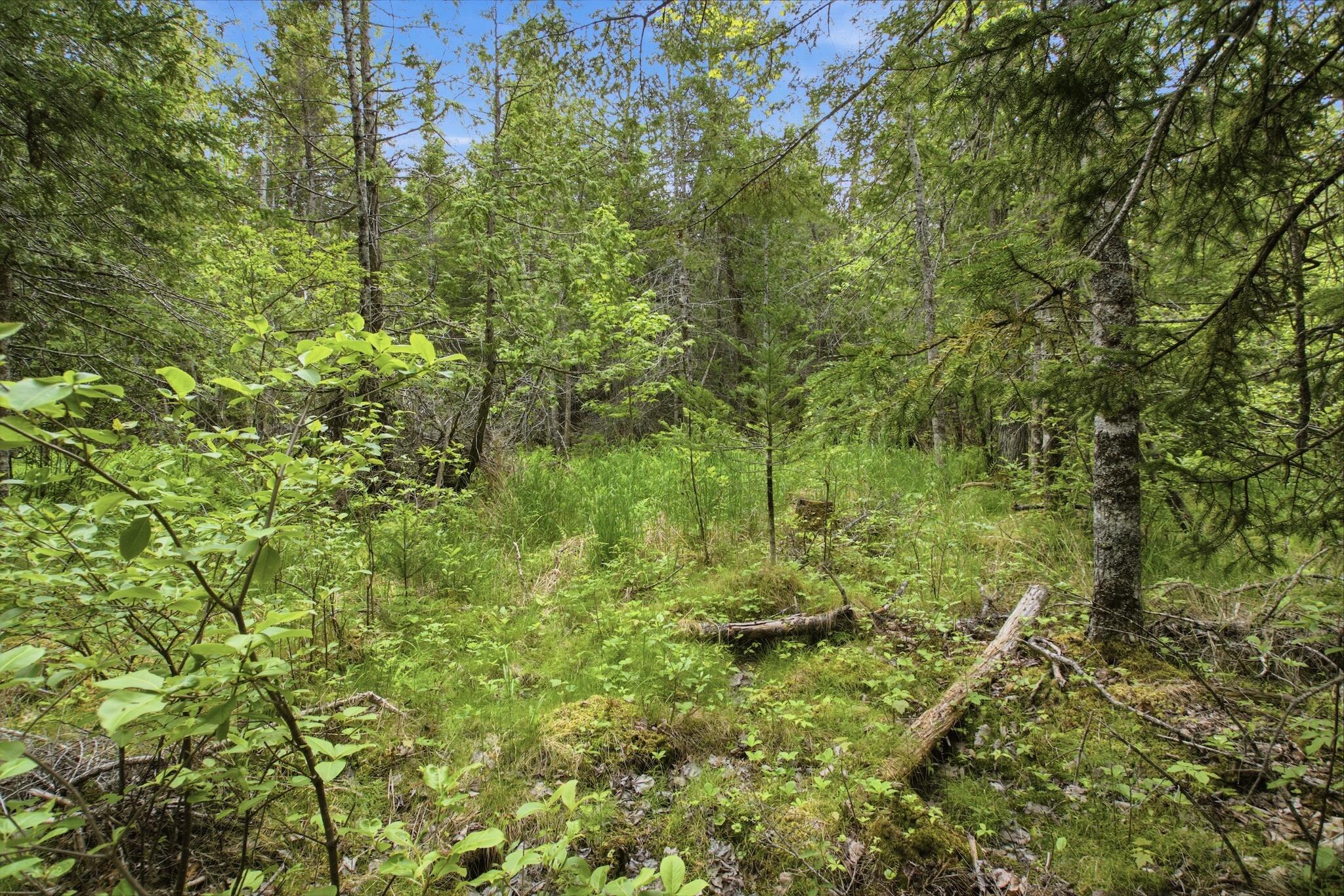 00 Kennebec Road Property Photo 4