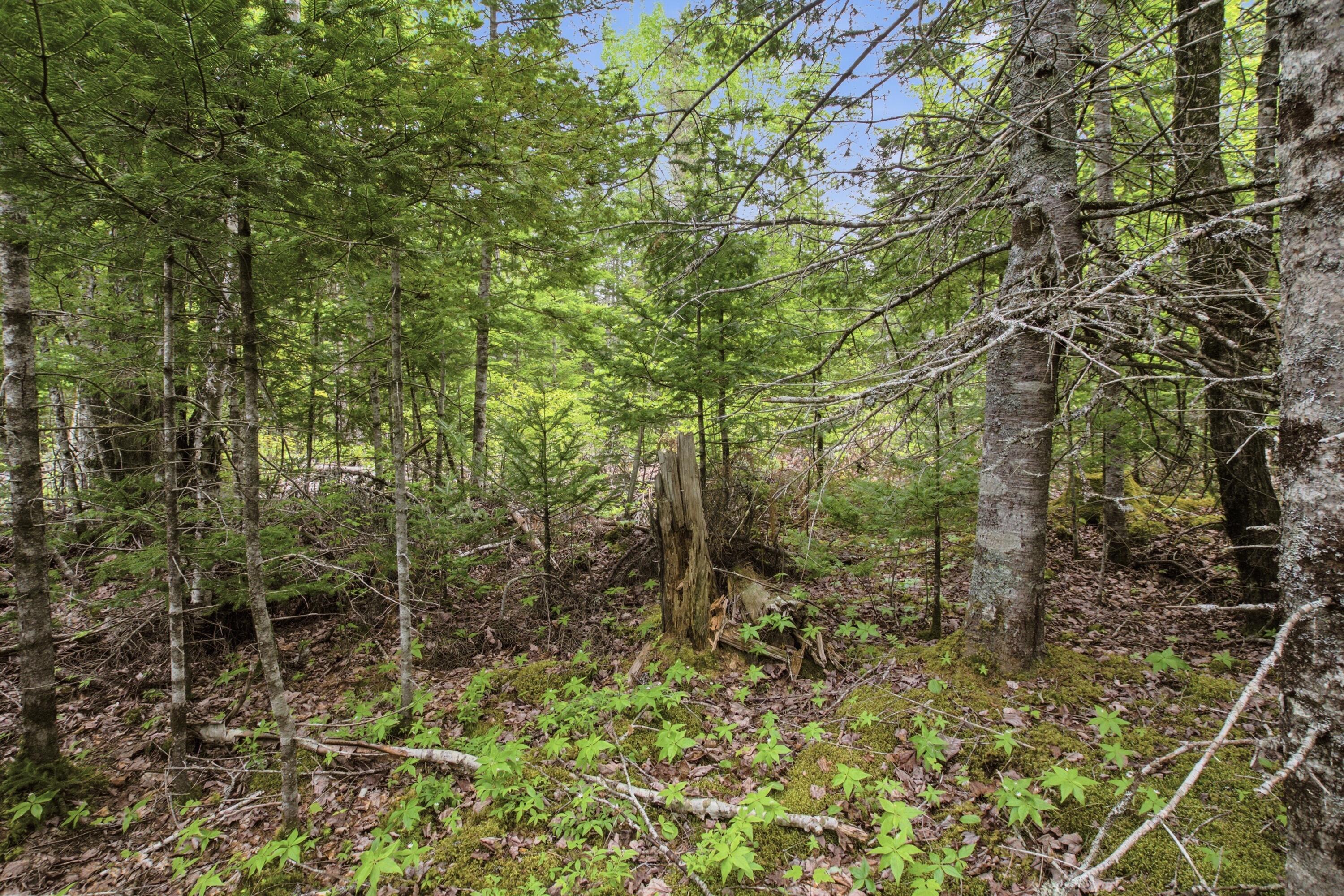 00 Kennebec Road Property Photo 7