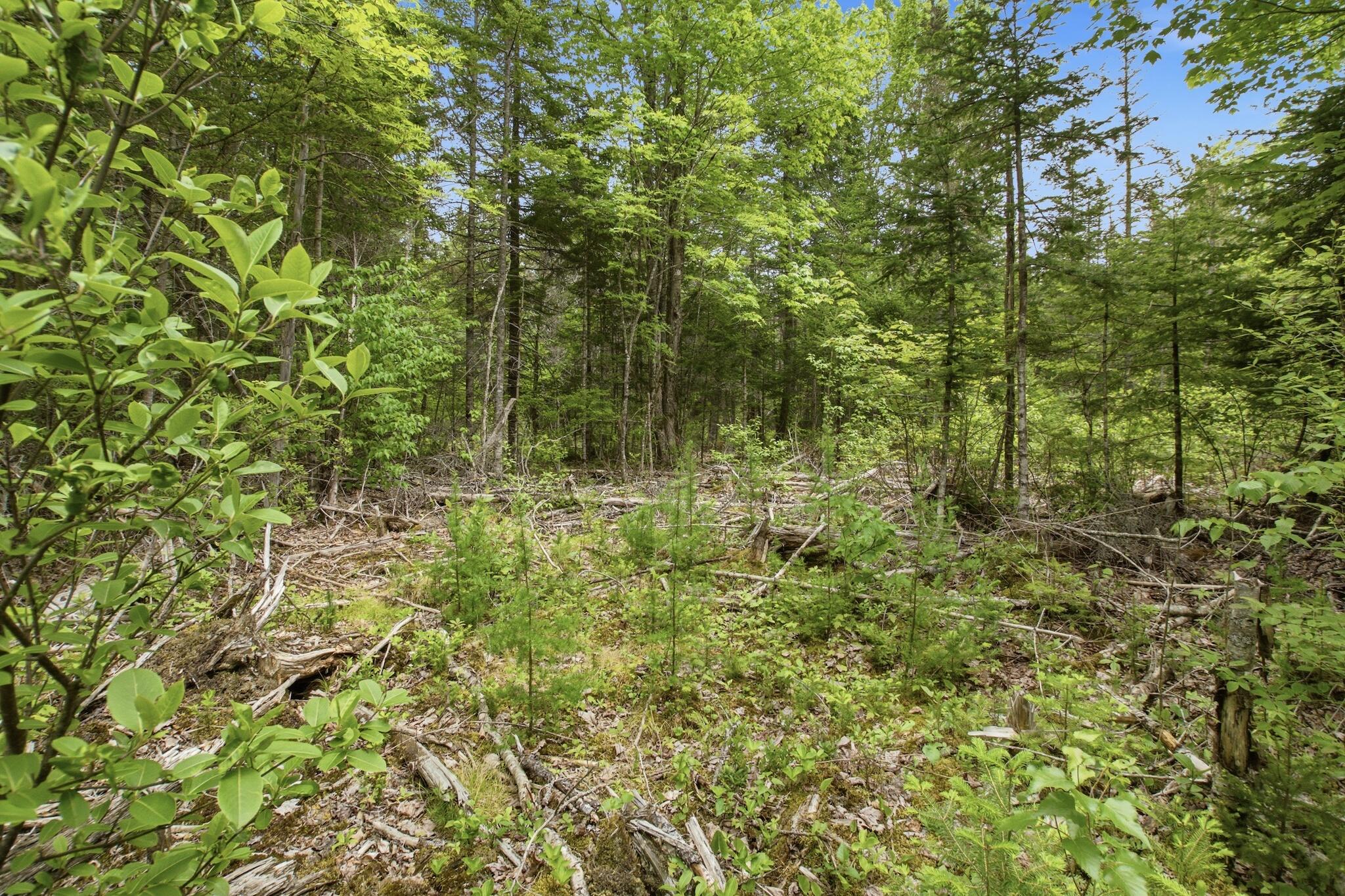 00 Kennebec Road Property Photo 8