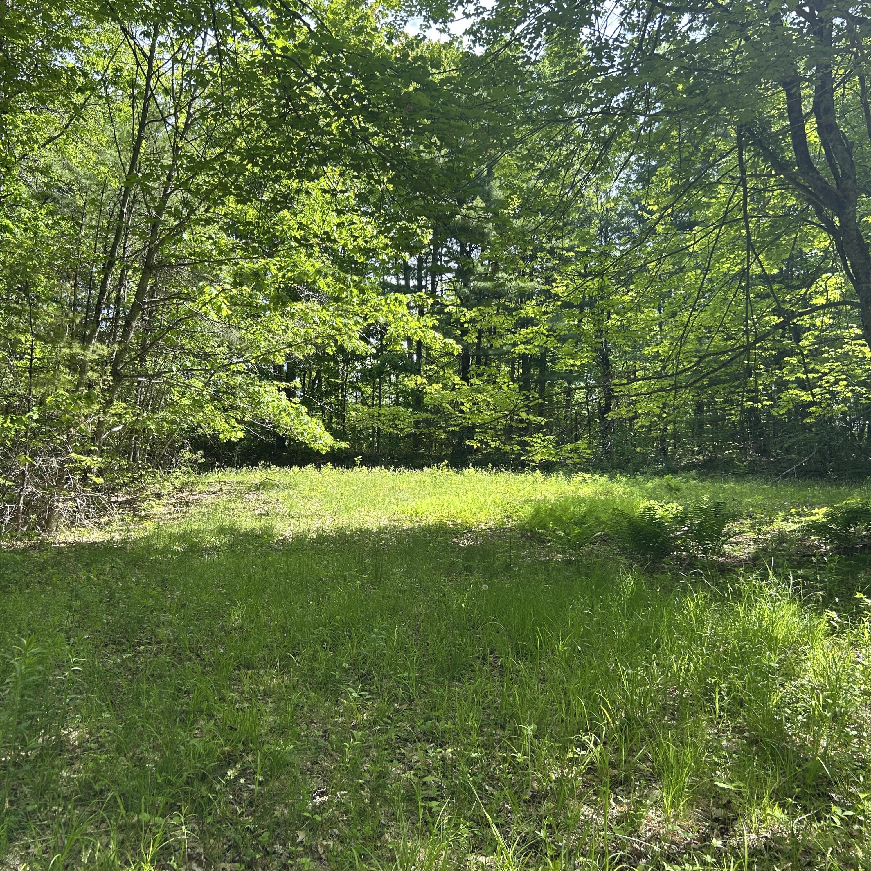 0 Augusta Road Property Photo 5