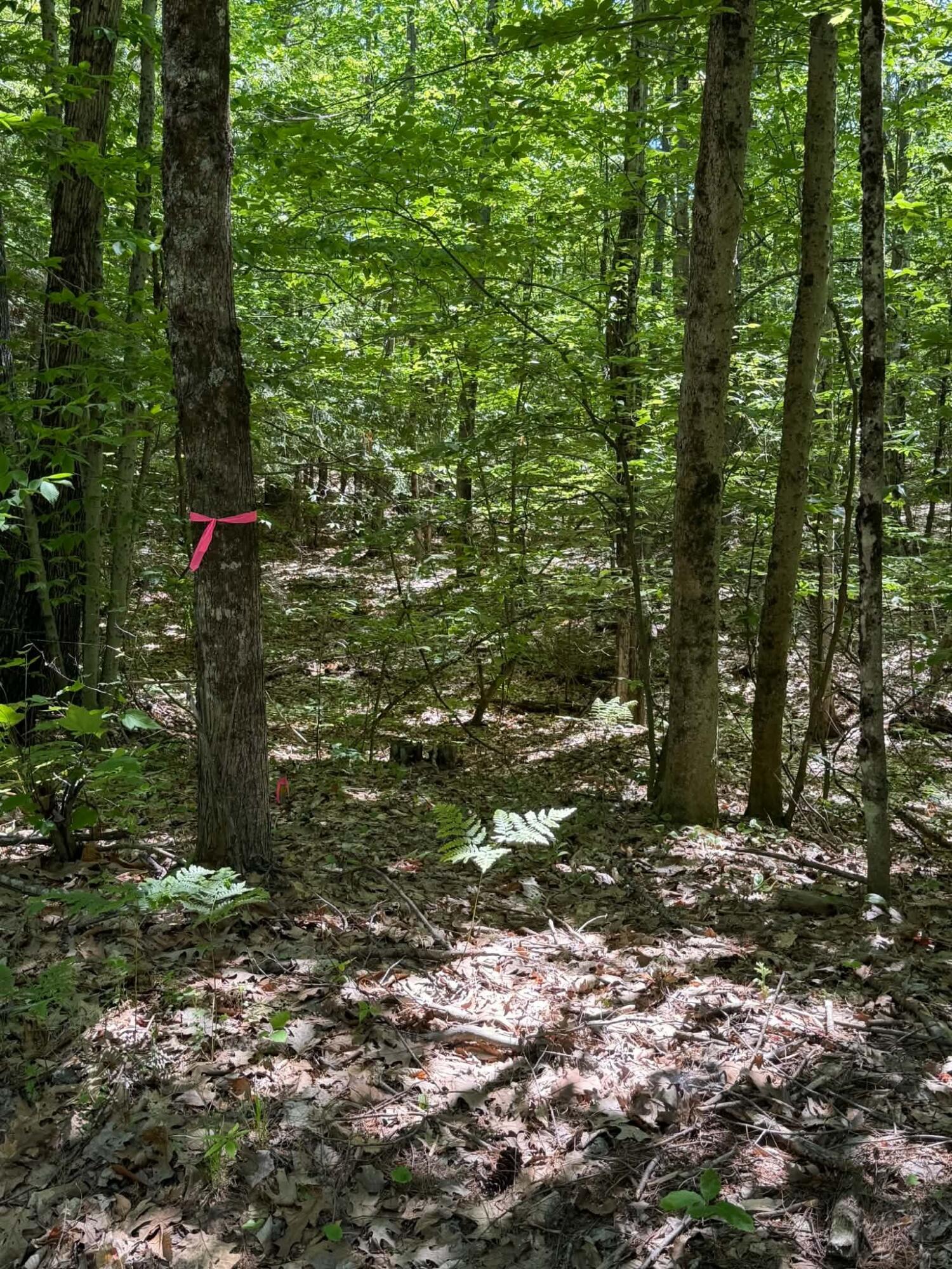 0009a Rear Church Hill Road Property Photo 1