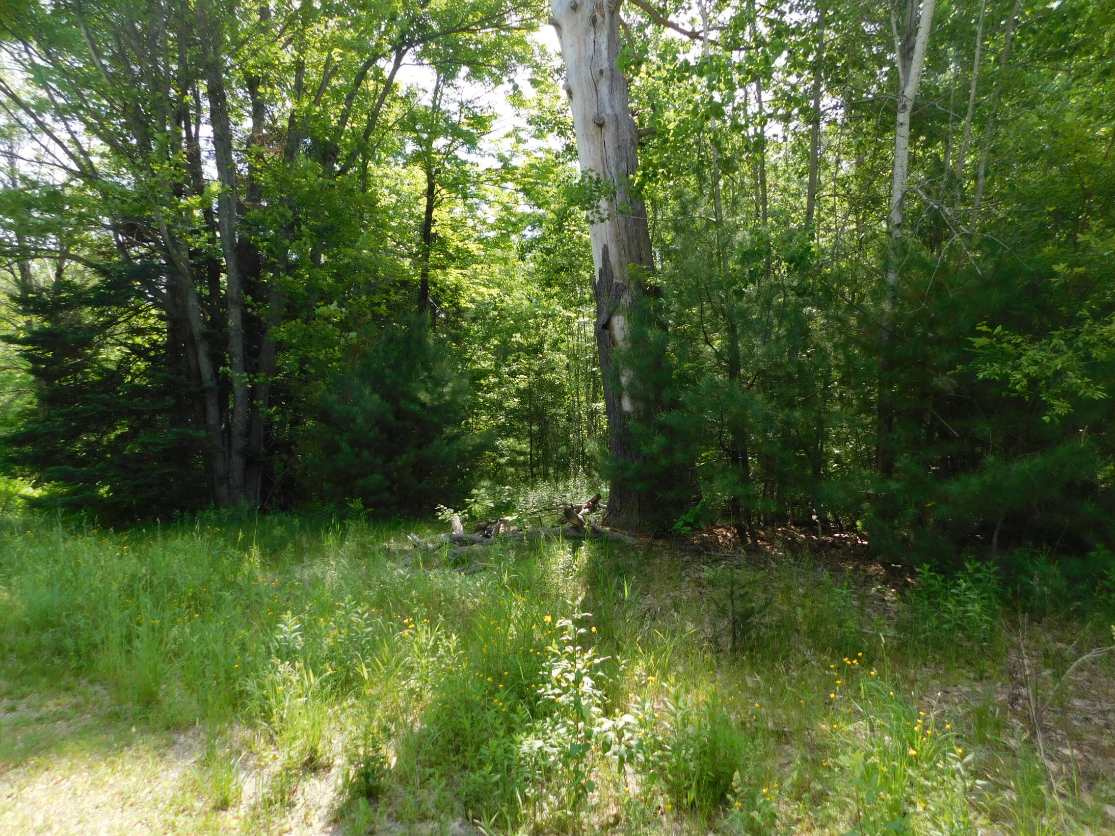 244 Canaan Road Property Photo 1