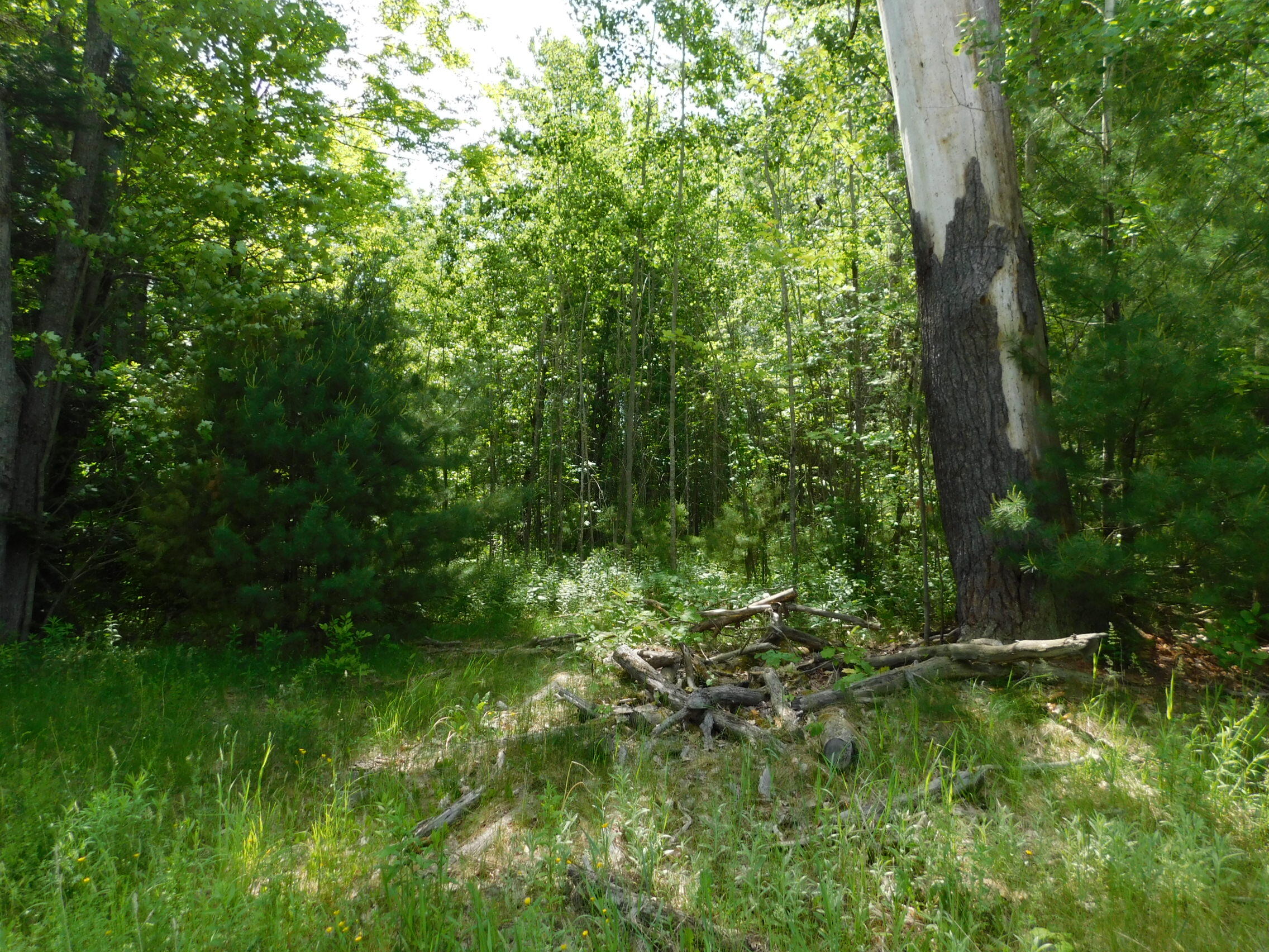 244 Canaan Road Property Photo 2