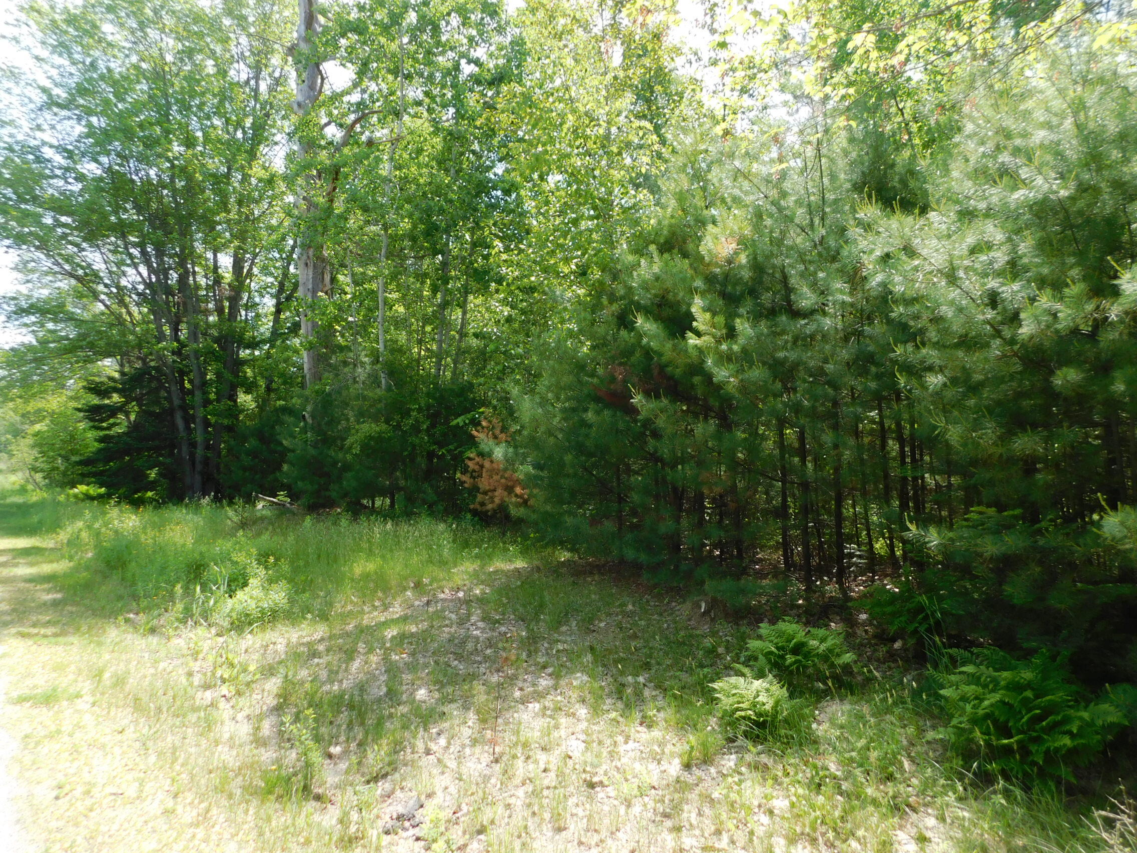 244 Canaan Road Property Photo 3