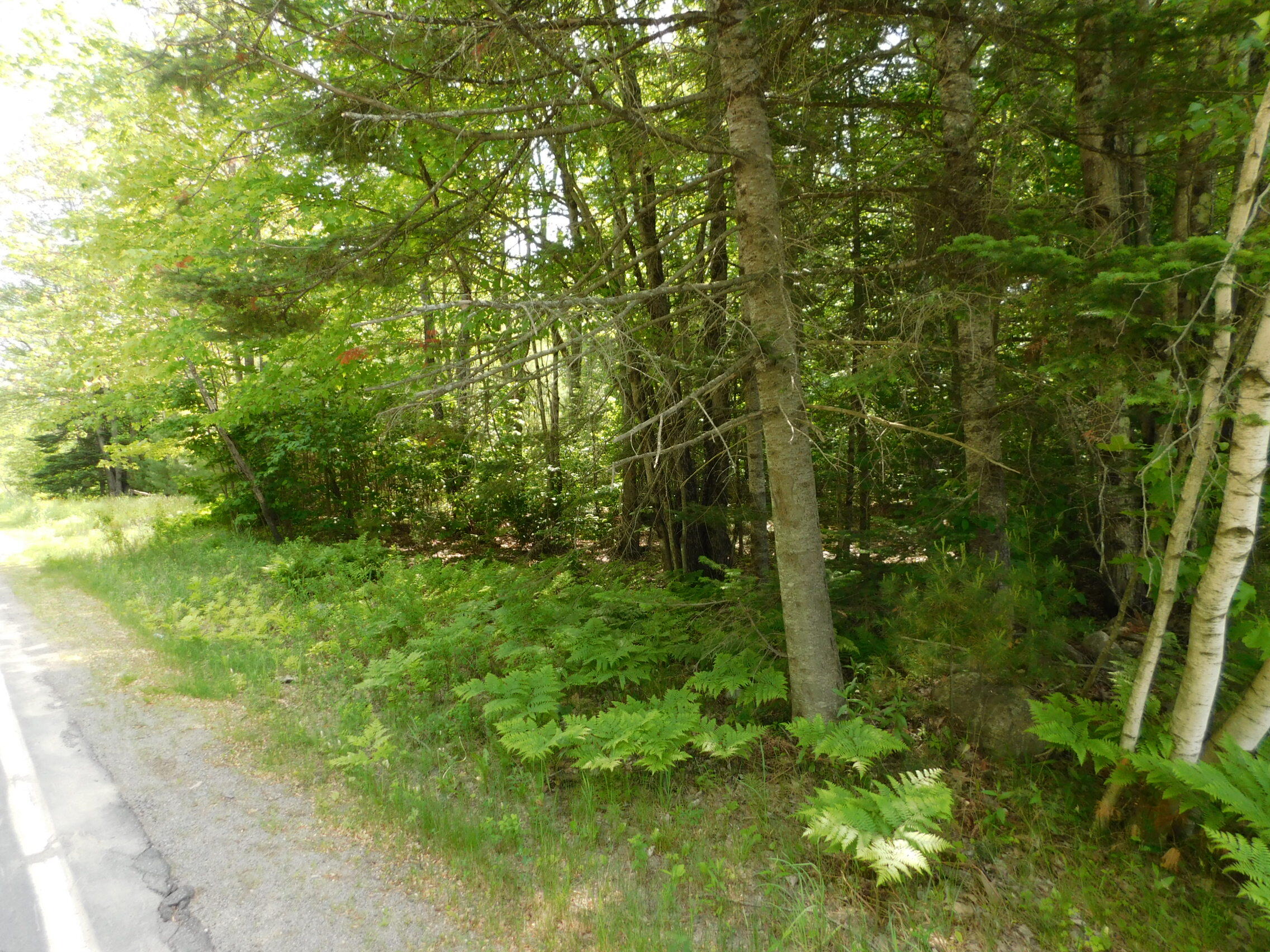 244 Canaan Road Property Photo 4