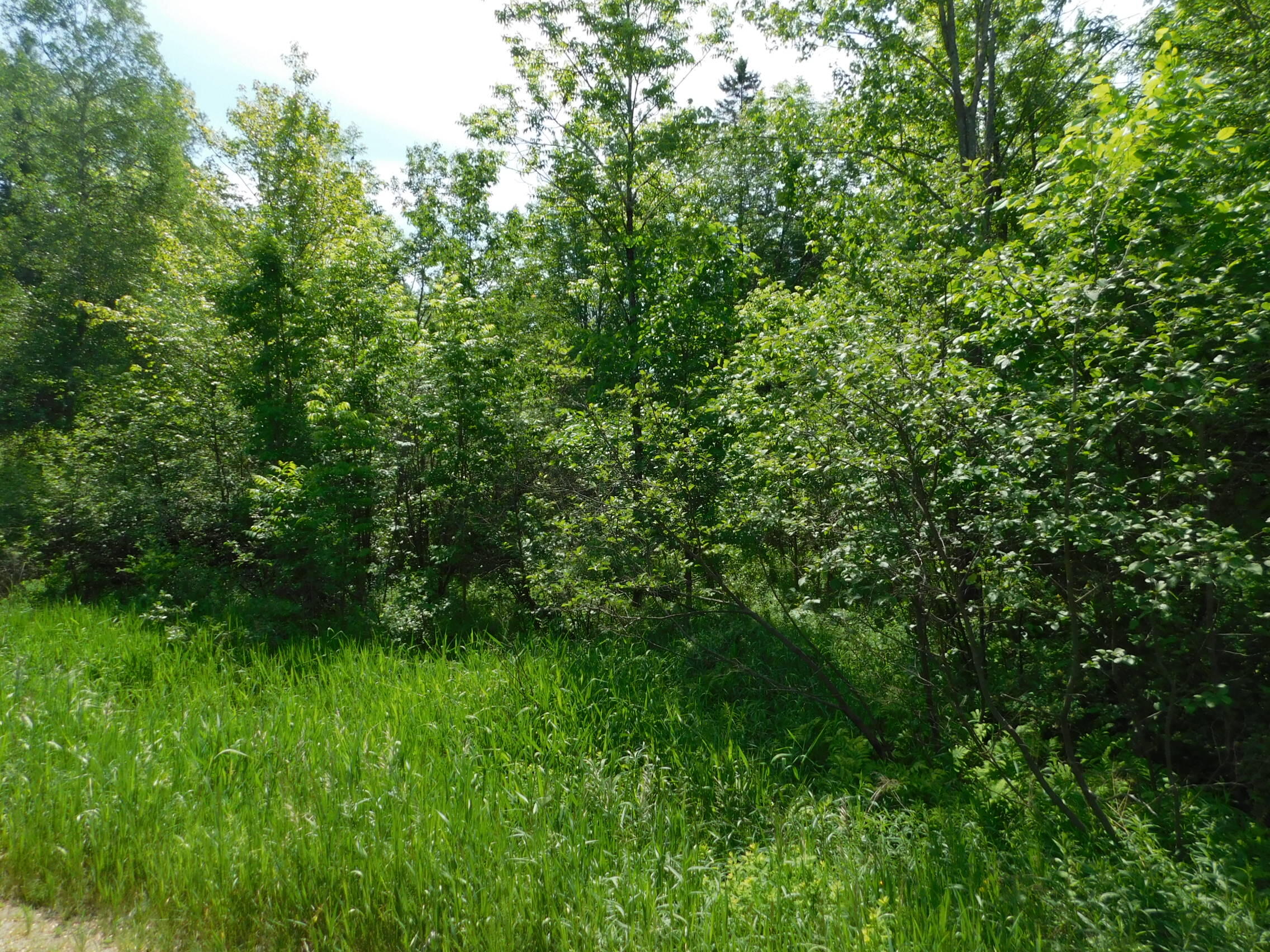 244 Canaan Road Property Photo 6