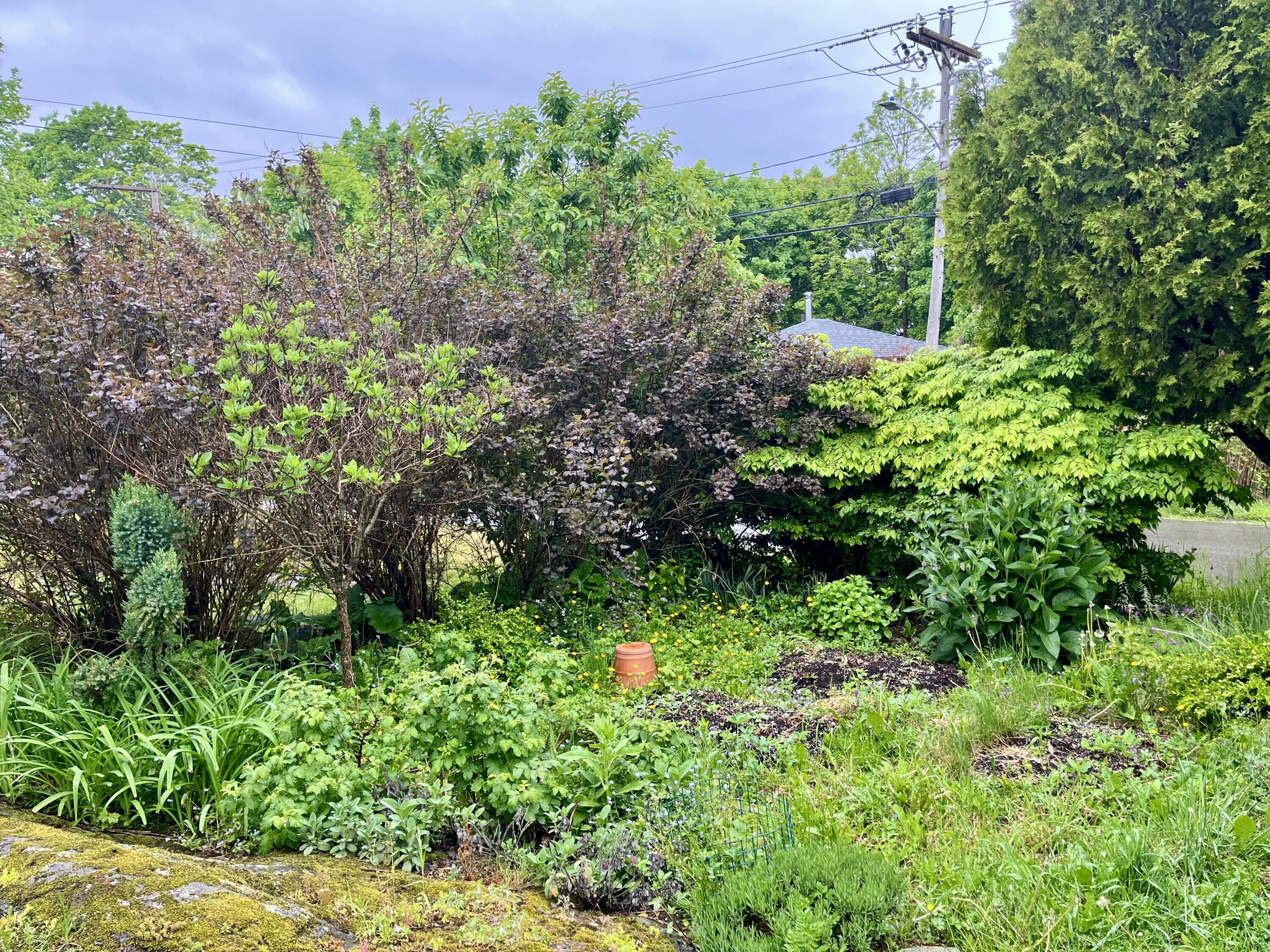 165 Main Street Property Photo 37