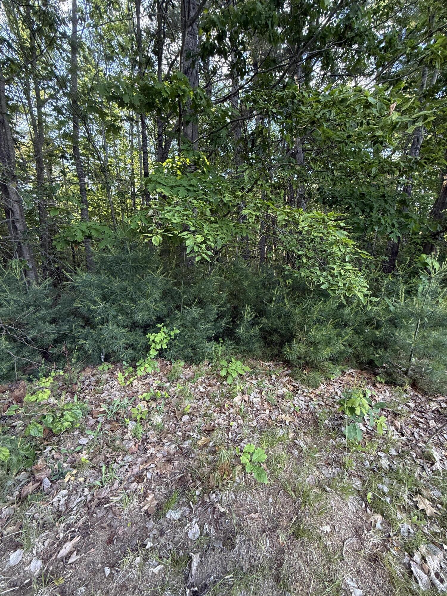 026a Belmont Avenue Property Photo 21