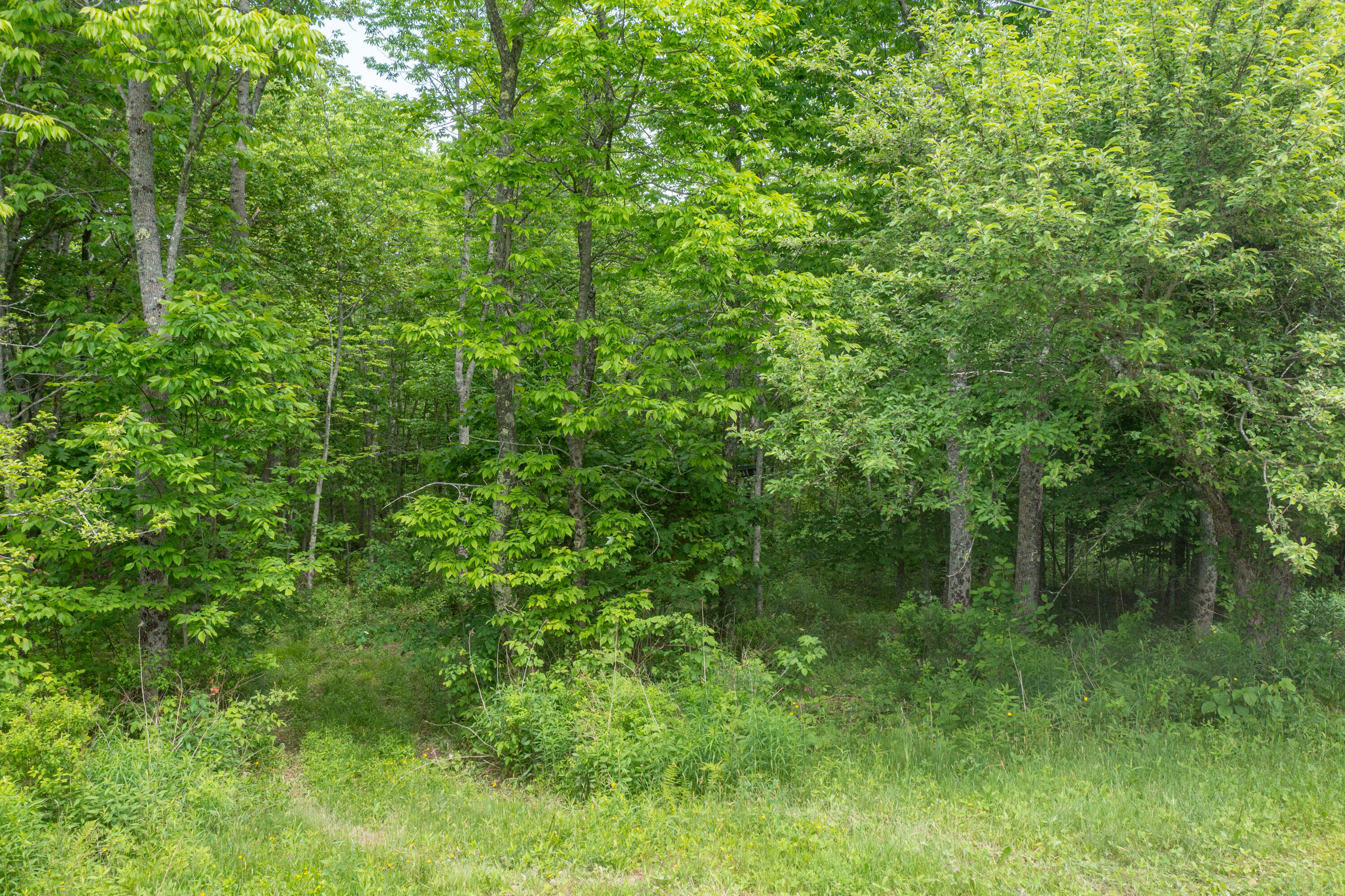 44 Schooner Drive Property Photo 34