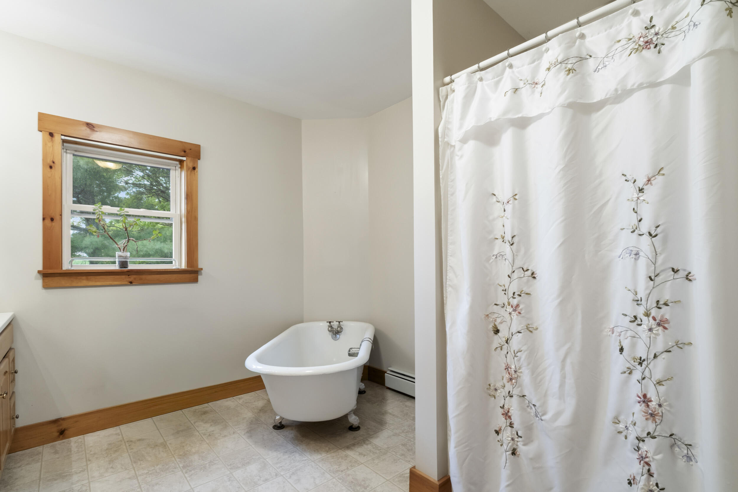 21 Burns Drive Property Photo 35